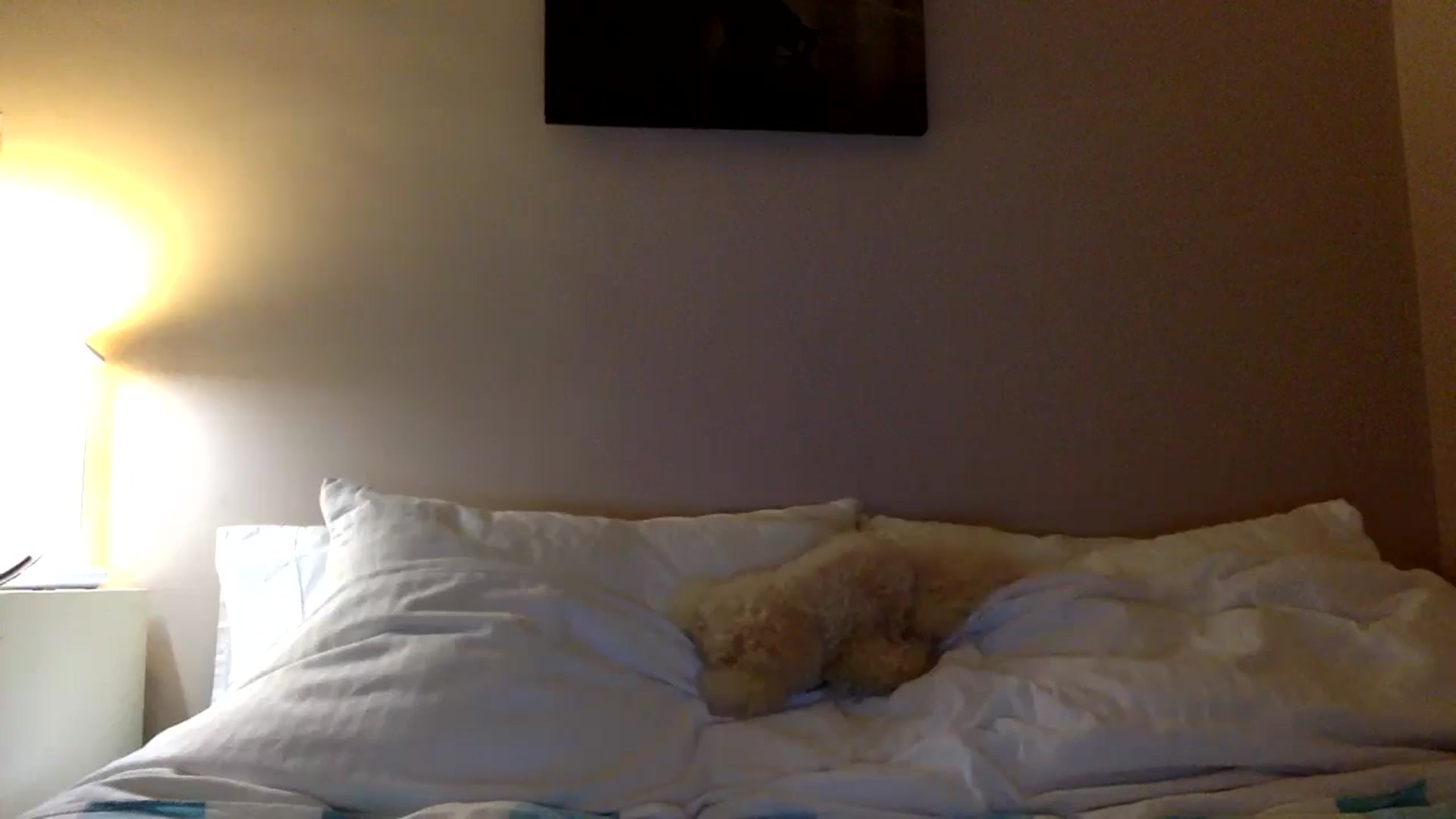 Gallery image thumbnail from Aimee_Angel's myfreecams stream on, 02/13/2025, 22:50 image 19 of 20
