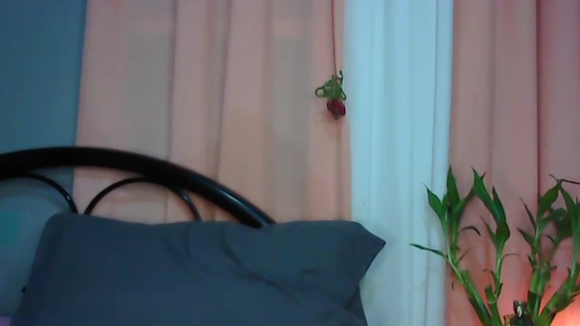 Gallery image thumbnail from Aires1585's myfreecams stream on, 06/12/2025, 01:16 image 9 of 20