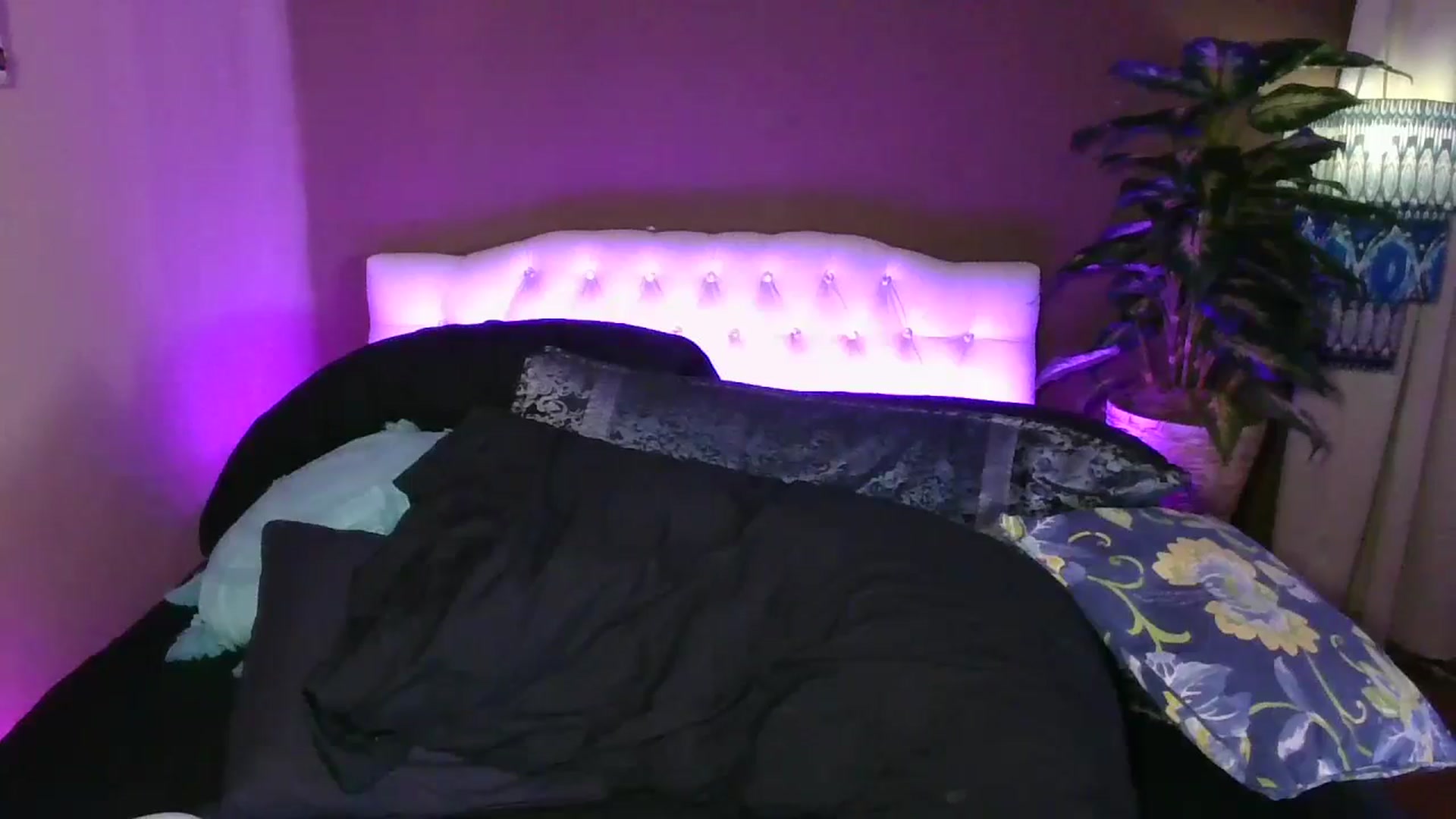 Gallery image thumbnail from AlabamaWhirly's myfreecams stream on, 08/11/2025, 16:25 image 14 of 20
