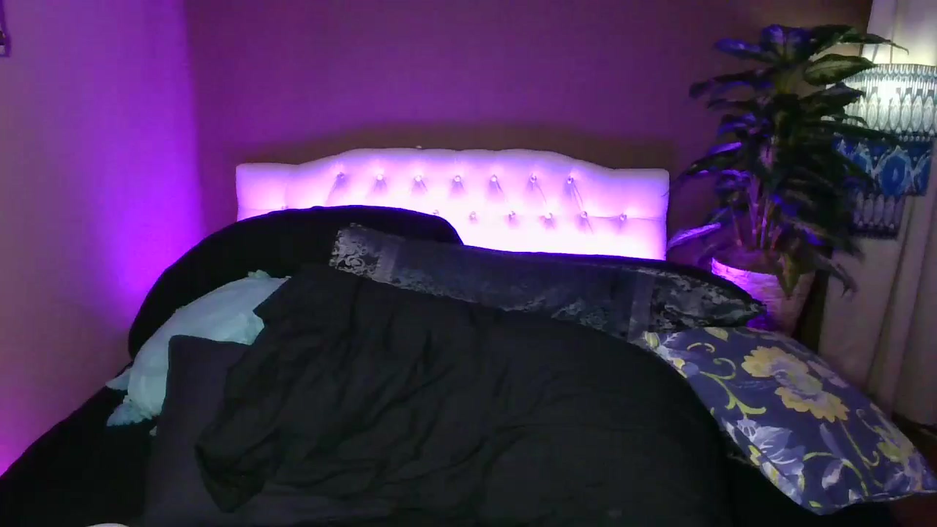 Gallery image thumbnail from AlabamaWhirly's myfreecams stream on, 08/11/2025, 16:25 image 13 of 20