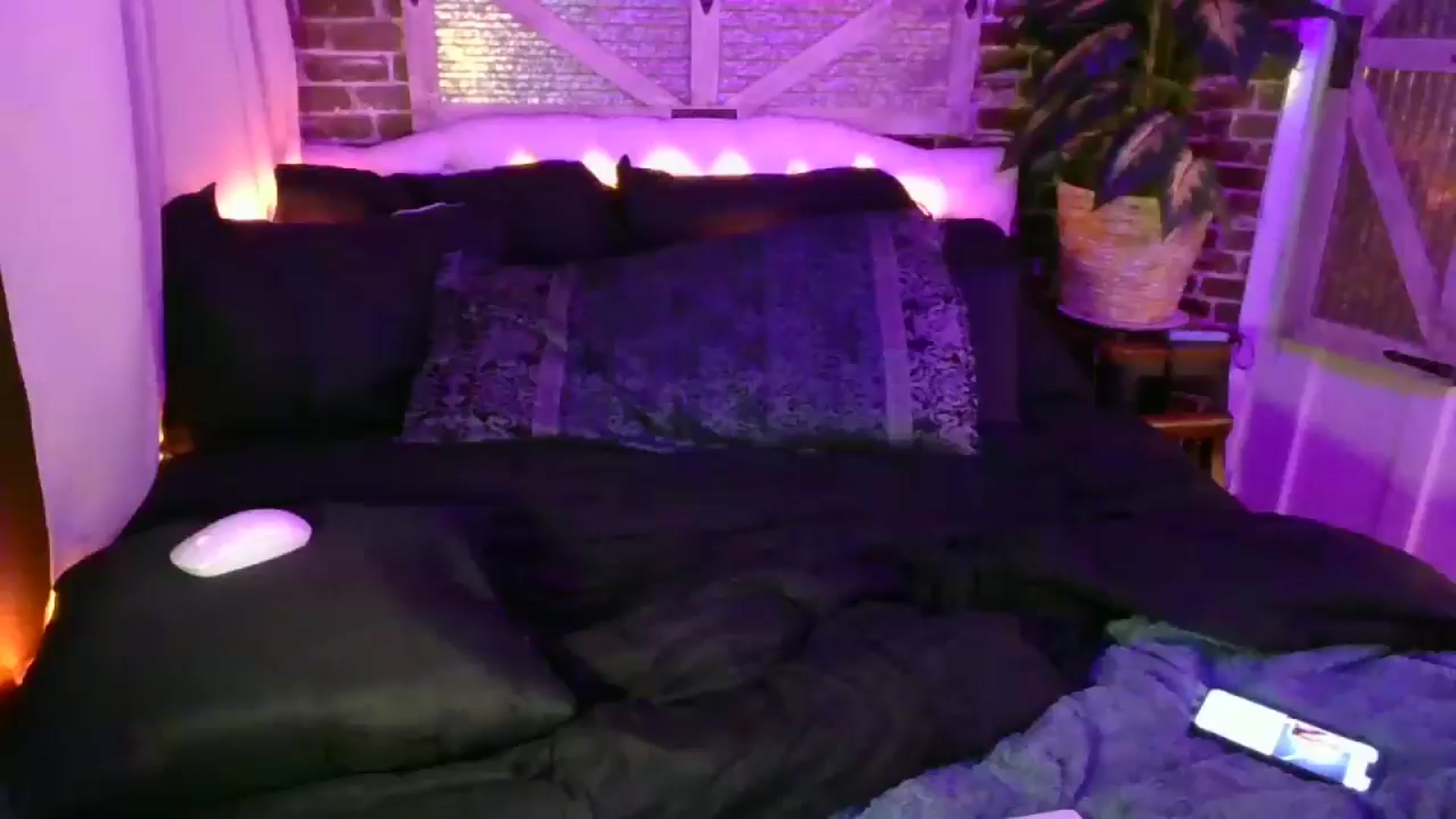 Gallery image thumbnail from AlabamaWhirly's myfreecams stream on, 08/30/2025, 13:51 image 10 of 20