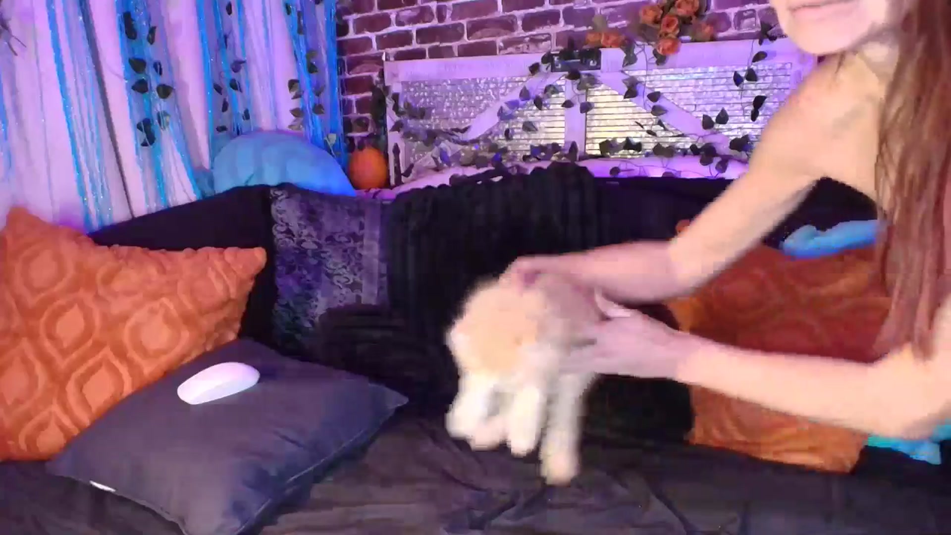 Gallery image thumbnail from AlabamaWhirly's myfreecams stream on, 10/15/2025, 01:59 image 17 of 20