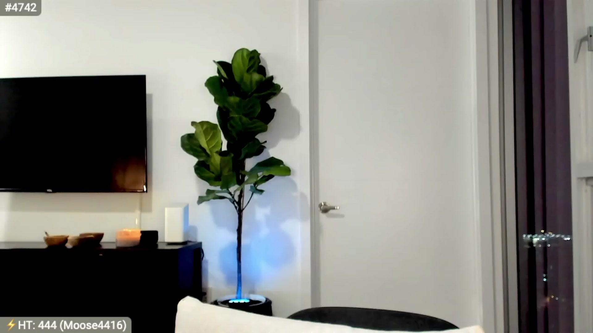 Gallery image thumbnail from AlanaWylde's myfreecams stream on, 10/12/2023, 04:36 image 1 of 20