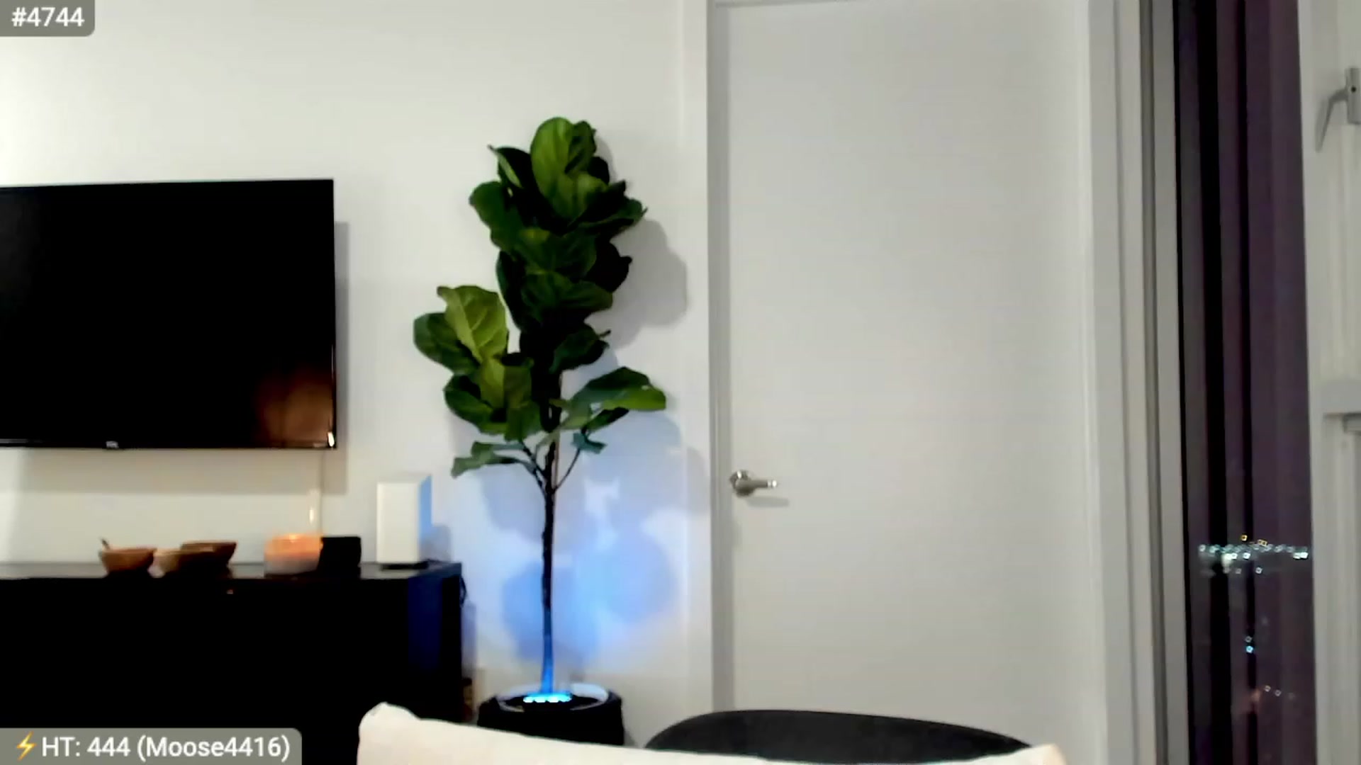 Gallery image thumbnail from AlanaWylde's myfreecams stream on, 10/12/2023, 04:36 image 3 of 20