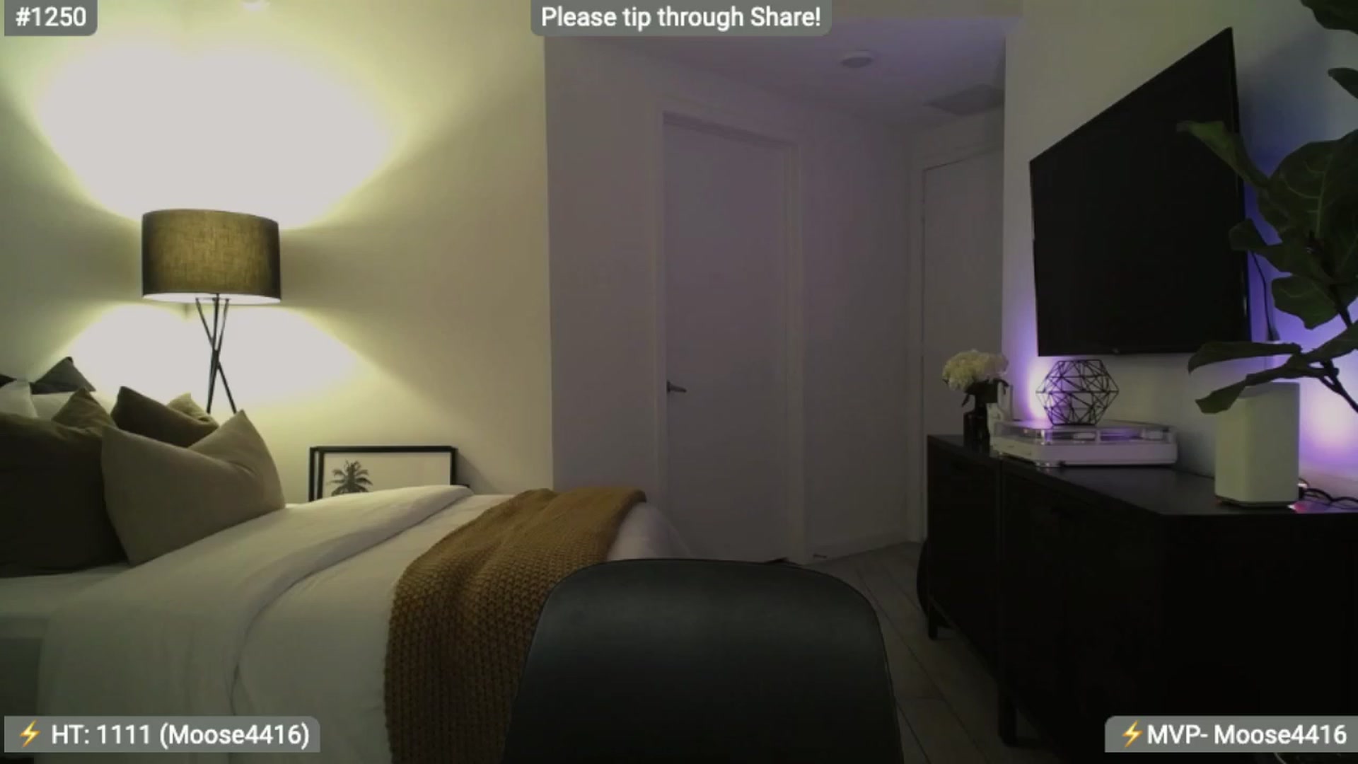 Gallery image thumbnail from AlanaWylde's myfreecams stream on, 12/29/2023, 03:35 image 16 of 20