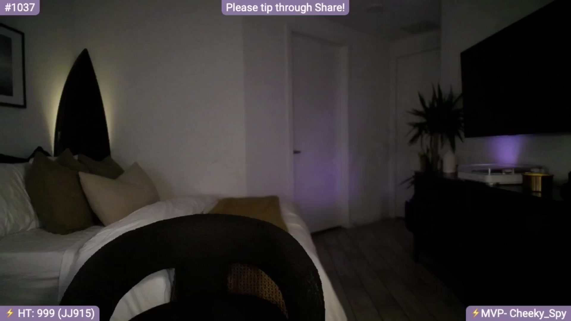 Gallery image thumbnail from AlanaWylde's myfreecams stream on, 09/01/2024, 07:19 image 15 of 20