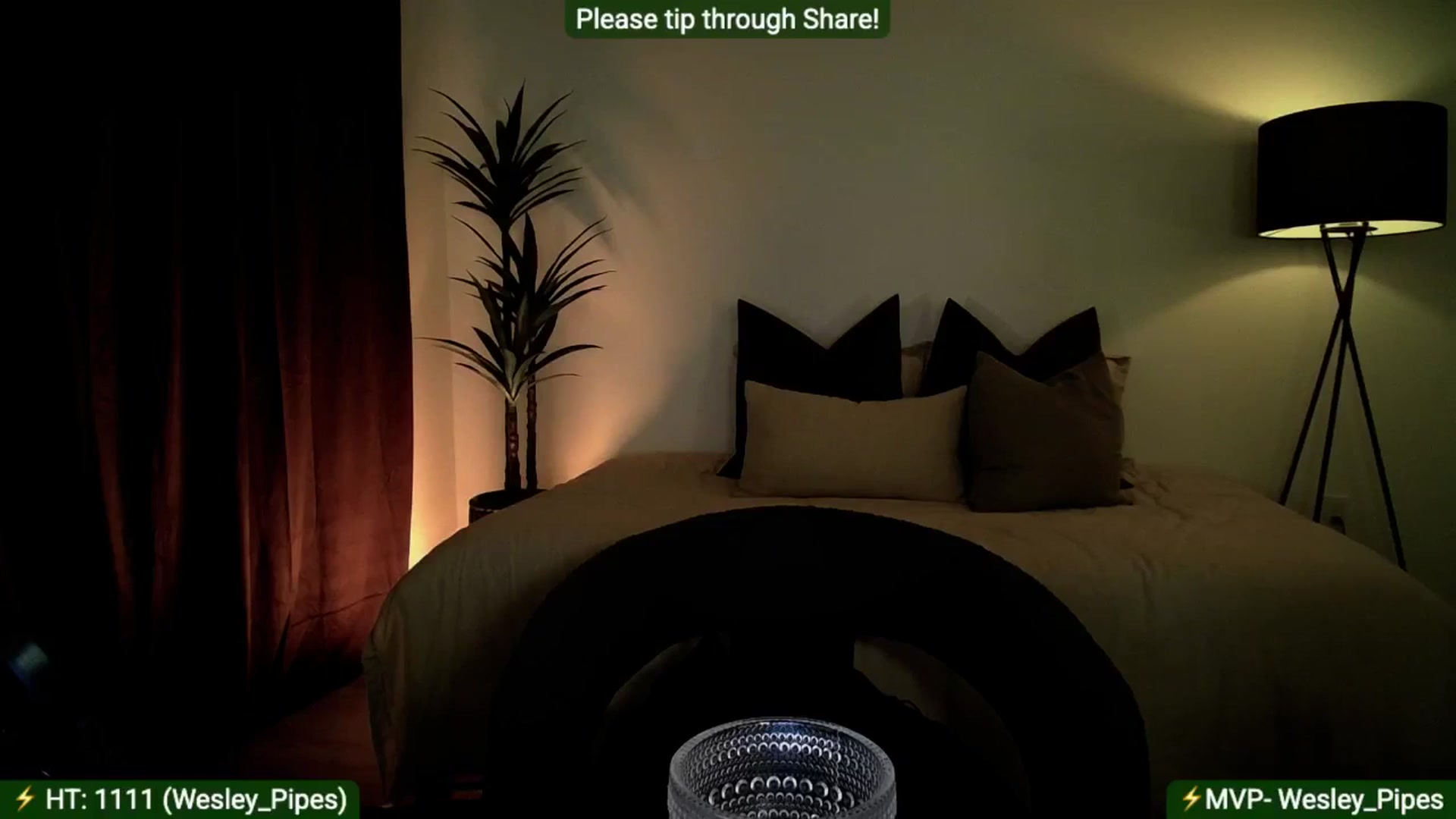 Gallery image thumbnail from AlanaWylde's myfreecams stream on, 07/07/2025, 07:08 image 19 of 20