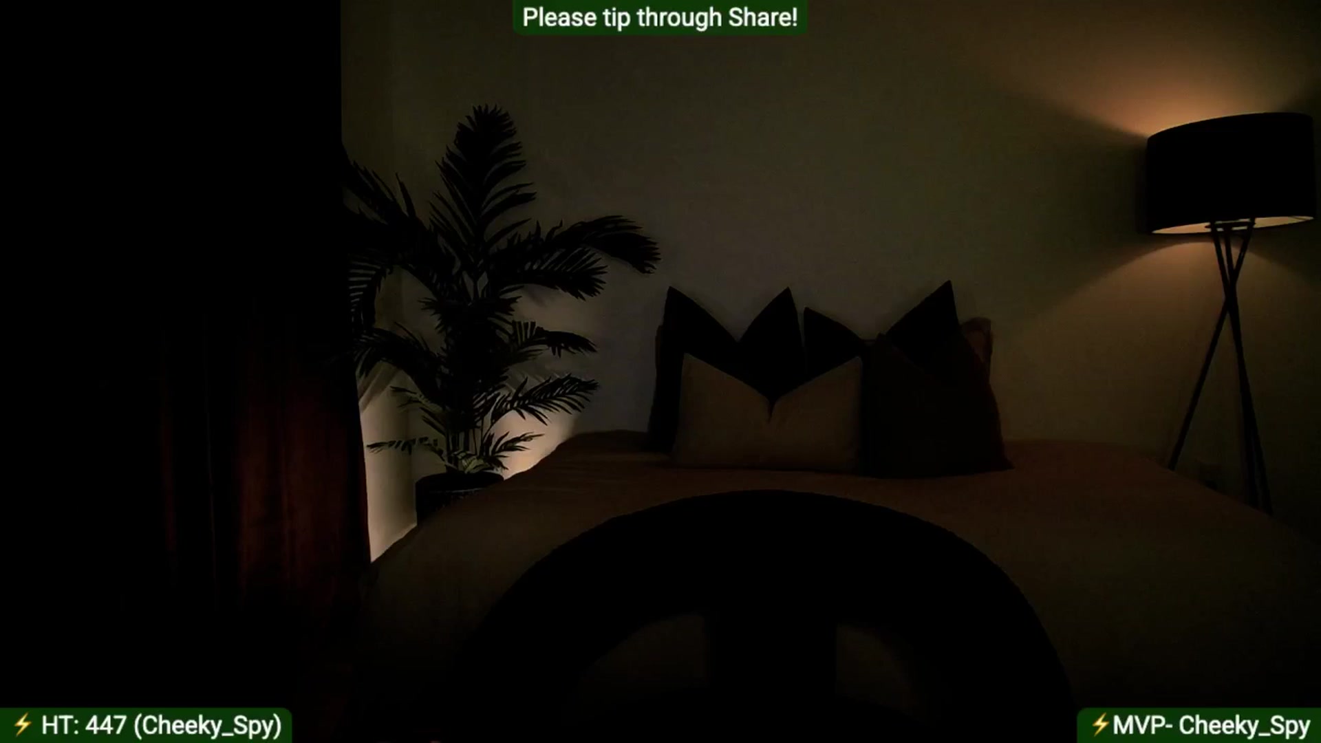 Gallery image thumbnail from AlanaWylde's myfreecams stream on, 07/27/2025, 06:10 image 1 of 20