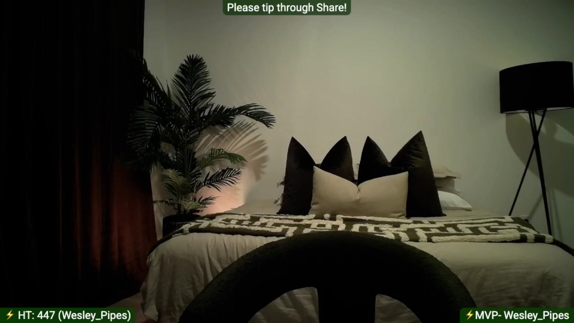 Gallery image thumbnail from AlanaWylde's myfreecams stream on, 08/29/2025, 05:19 image 3 of 20