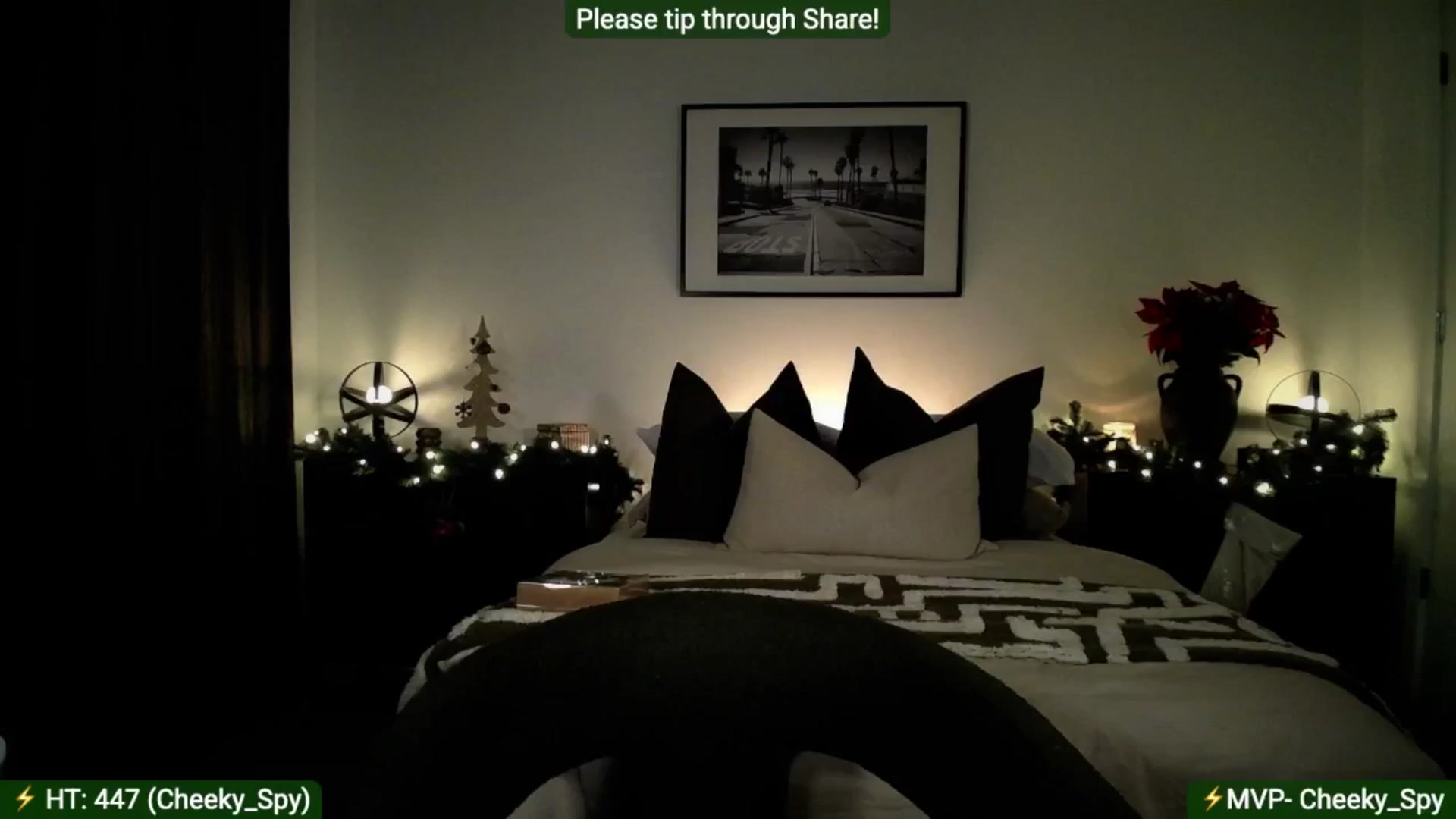 Gallery image thumbnail from AlanaWylde's myfreecams stream on, 12/05/2025, 04:54 image 19 of 20
