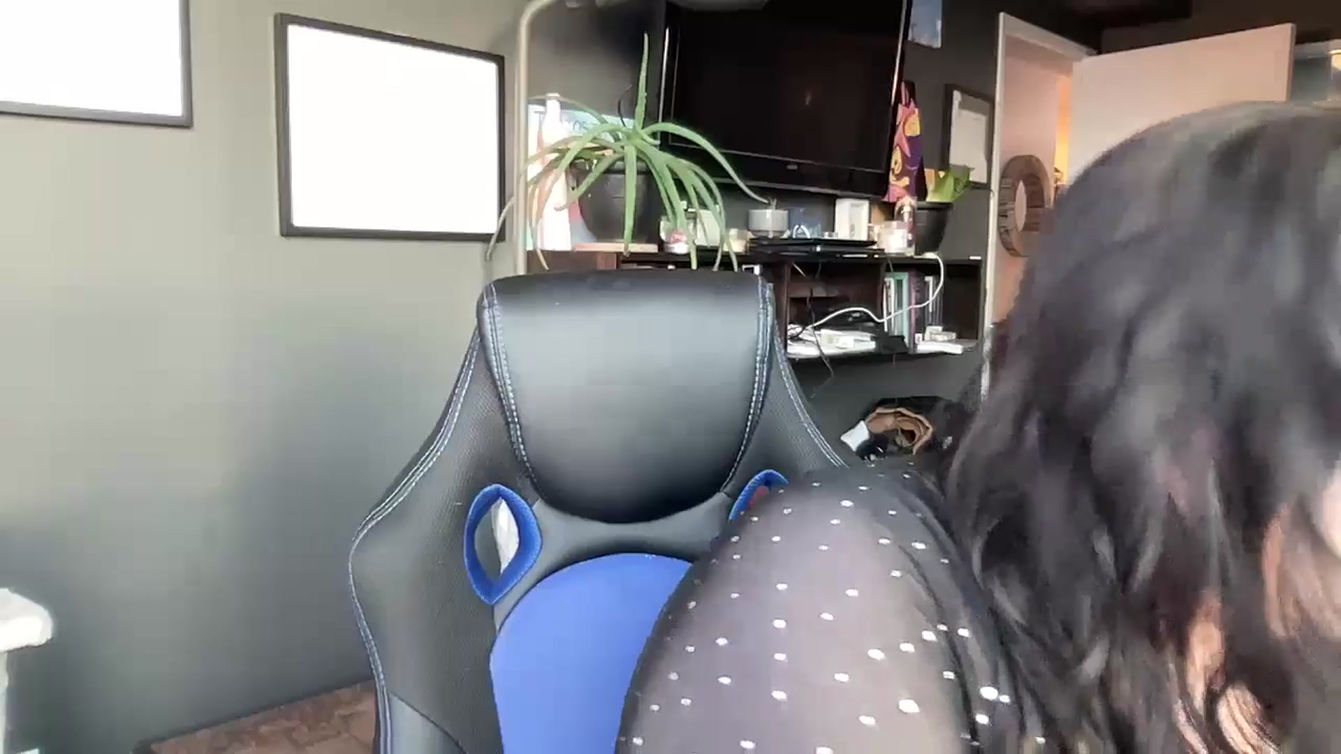 Gallery image thumbnail from Alanaa's myfreecams stream on, 04/28/2024, 24:06 image 6 of 20
