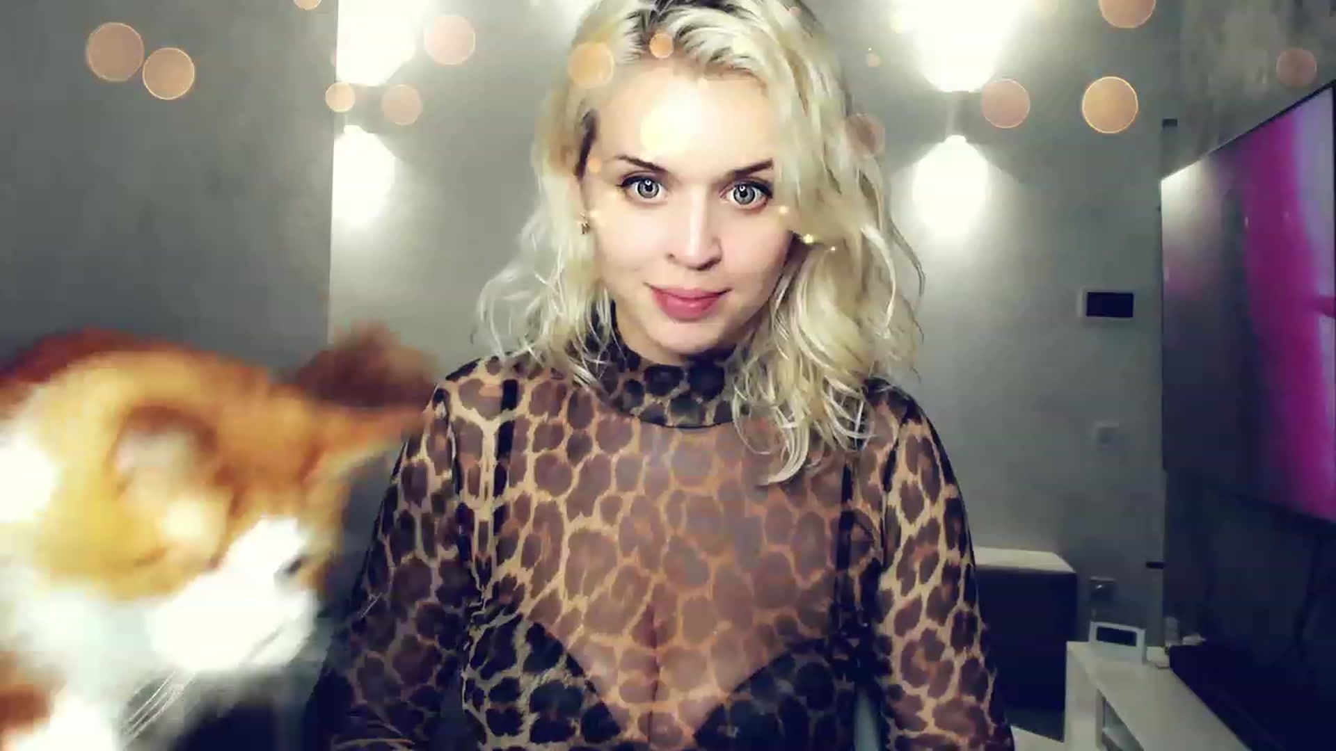 Gallery image thumbnail from AleXXXaKiss's myfreecams stream on, 11/19/2022, 20:15 image 19 of 20