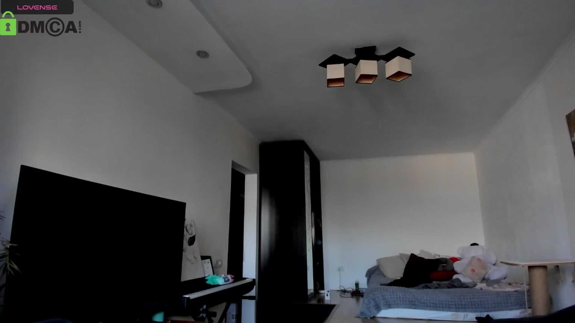 Gallery image thumbnail from Aleida__'s myfreecams stream on, 12/31/2025, 11:15 image 13 of 20