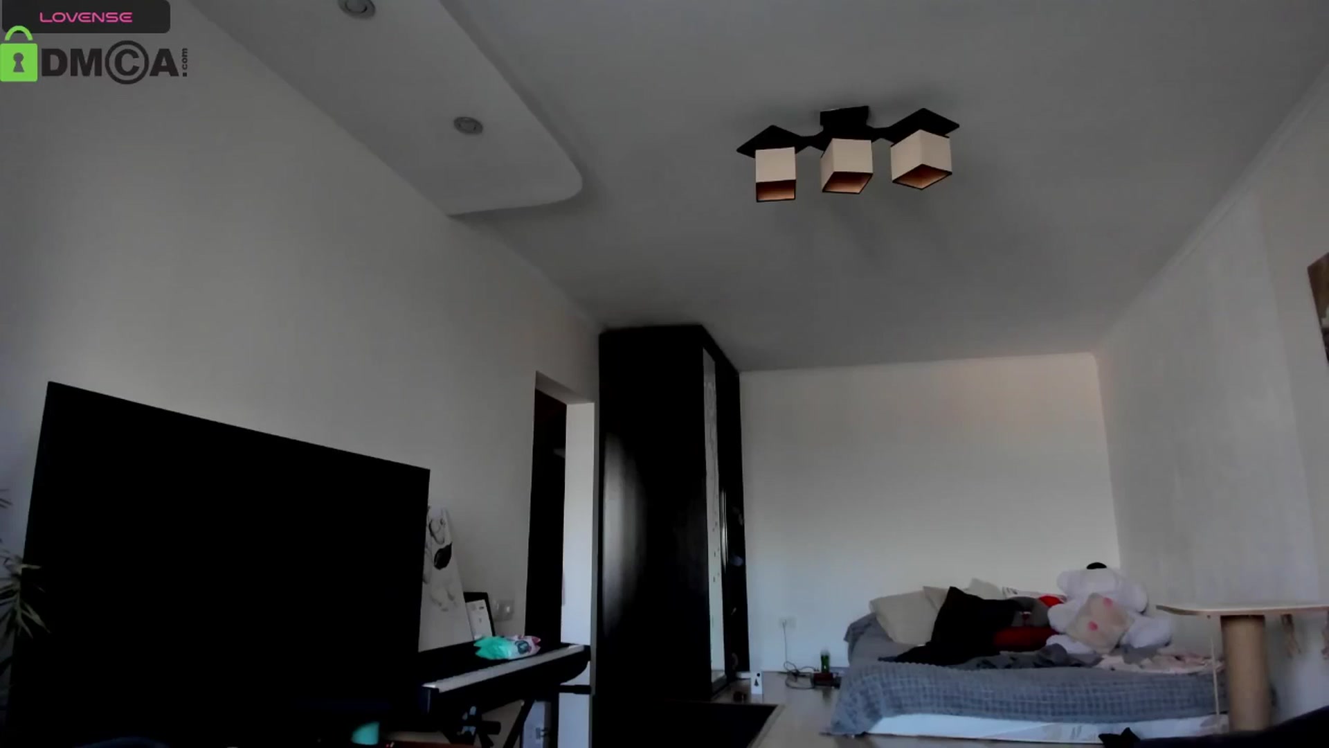 Gallery image thumbnail from Aleida__'s myfreecams stream on, 12/31/2025, 11:15 image 12 of 20