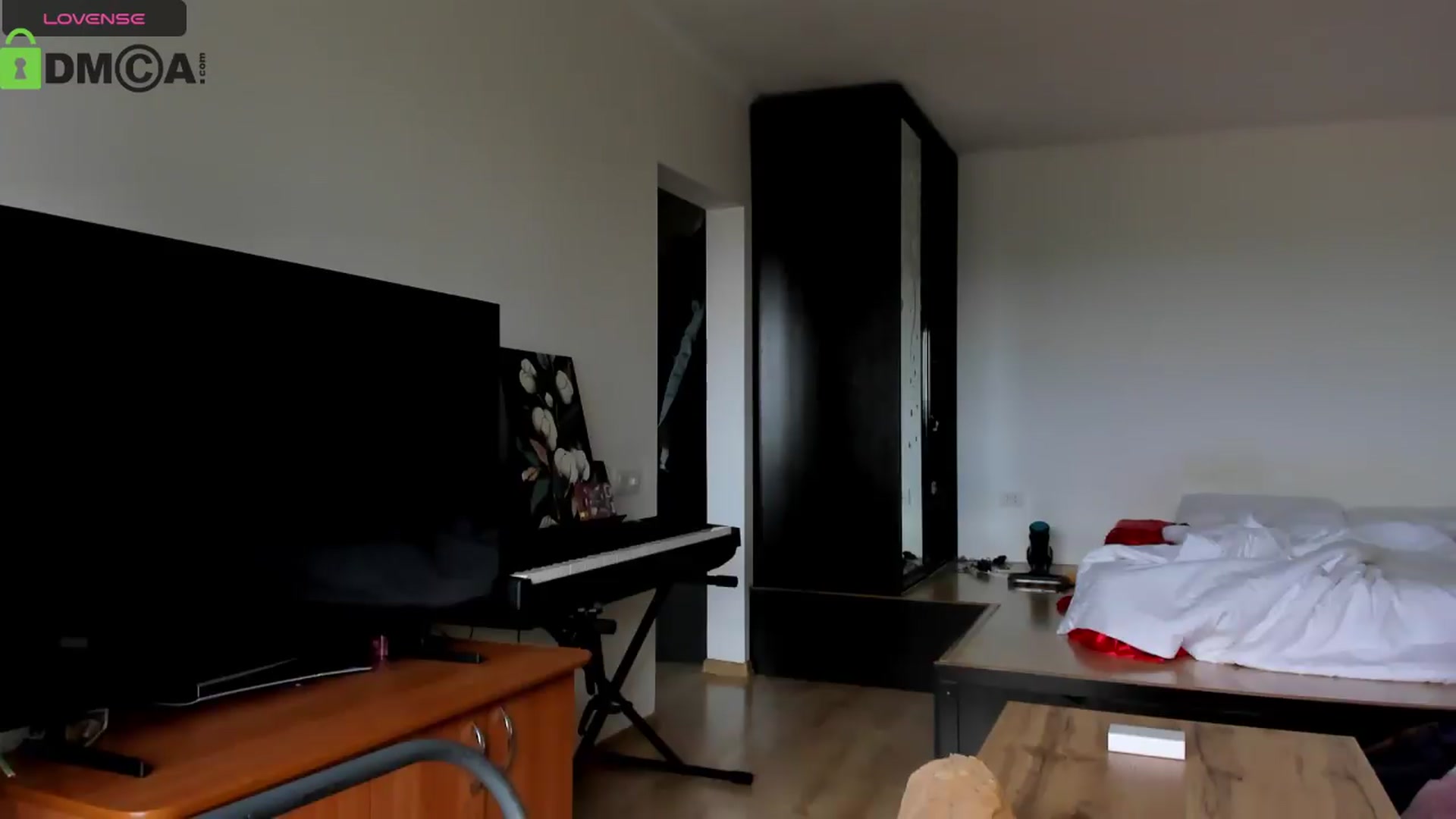 Gallery image thumbnail from Aleida__'s myfreecams stream on, 06/15/2026, 12:16 image 12 of 20