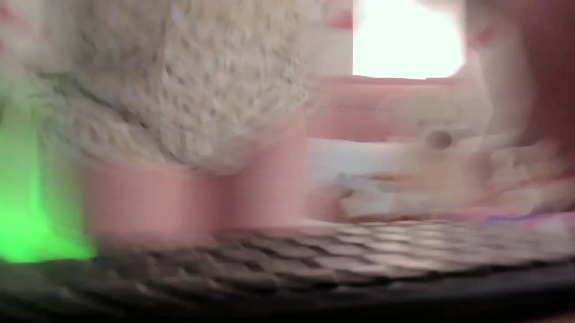 Gallery image thumbnail from Aleja_21's myfreecams stream on, 05/01/2023, 10:28 image 2 of 20