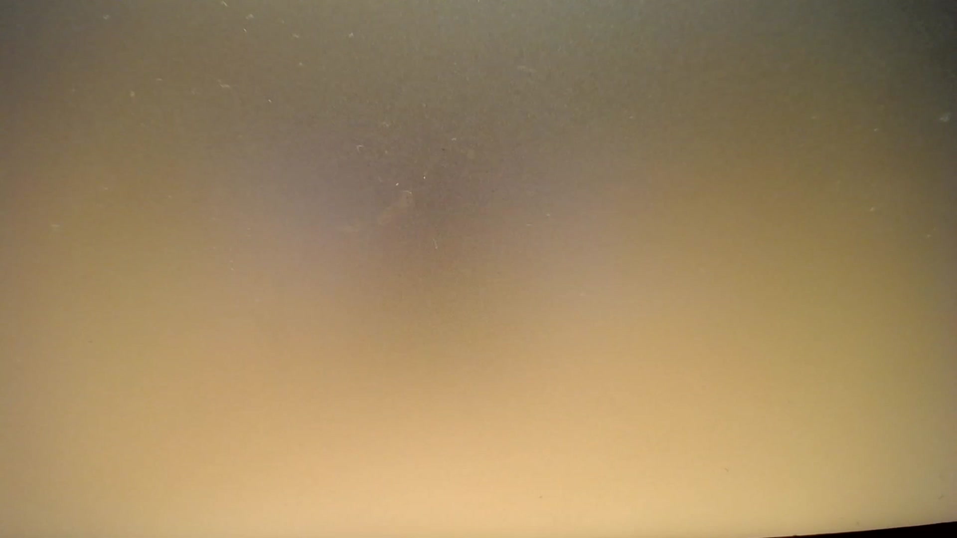 Gallery image thumbnail from Alena29's myfreecams stream on, 02/12/2023, 22:19 image 2 of 20