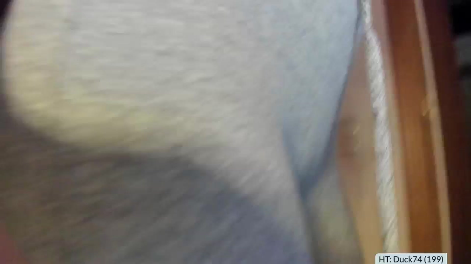 Gallery image thumbnail from Alena29's myfreecams stream on, 11/05/2024, 17:23 image 13 of 20