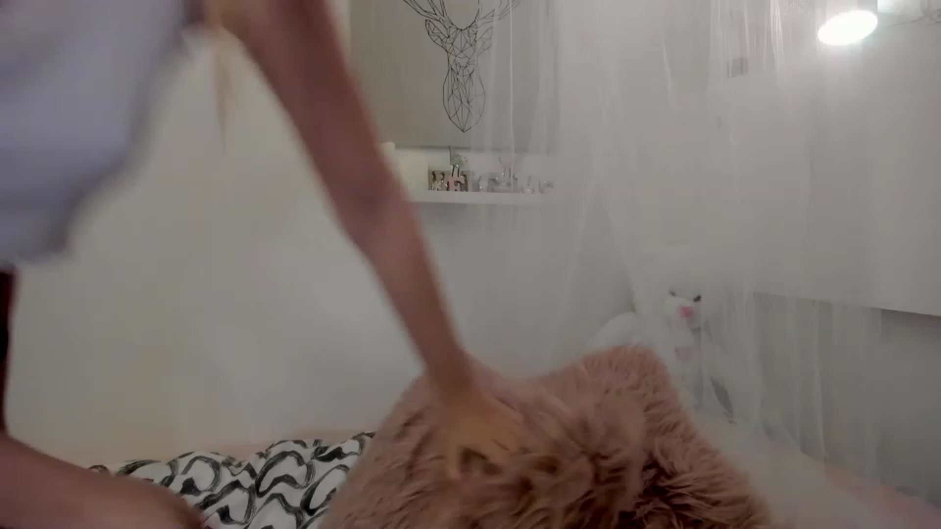 Gallery image thumbnail from Alena_Croft18's myfreecams stream on, 11/17/2022, 17:49 image 5 of 20