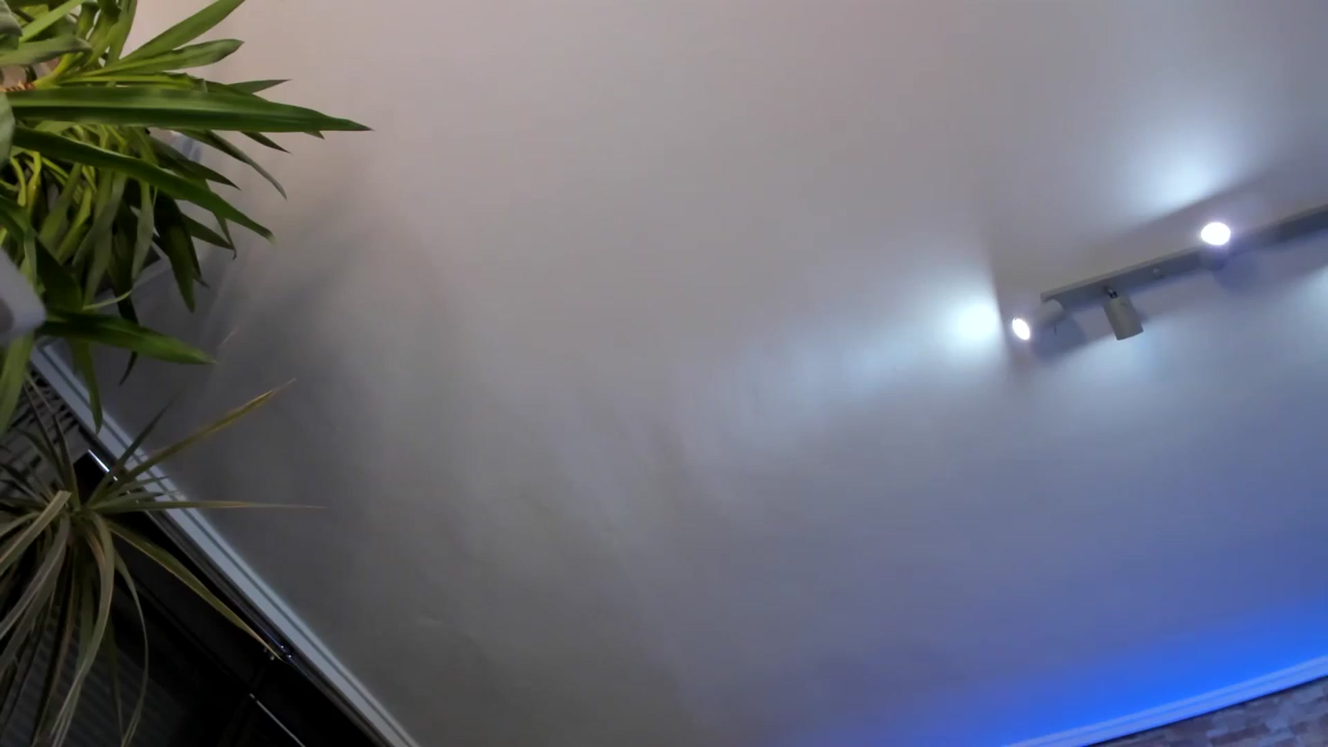 Gallery image thumbnail from Alesia_'s myfreecams stream on, 05/23/2024, 23:13 image 12 of 20