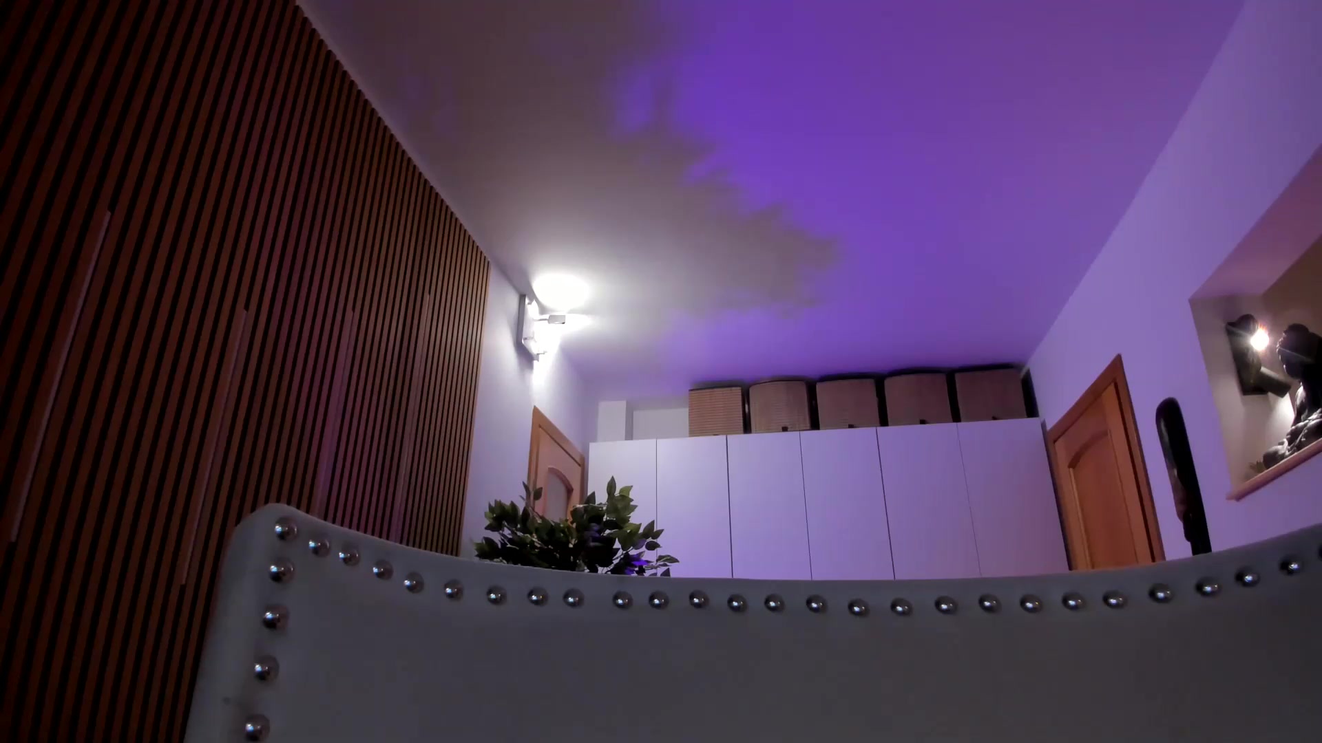 Gallery image thumbnail from Alesia_'s myfreecams stream on, 07/29/2026, 23:51 image 9 of 20