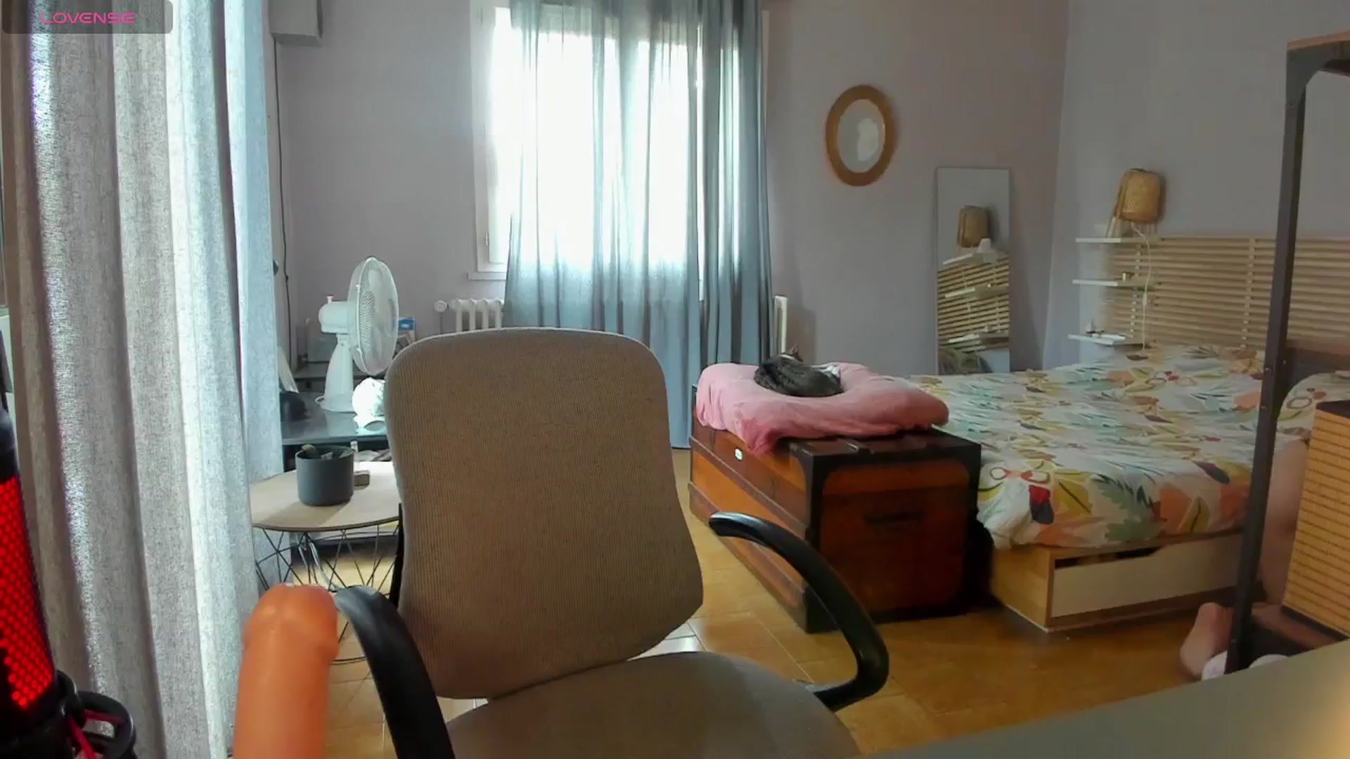 Gallery image thumbnail from Aless_____'s myfreecams stream on, 04/18/2024, 12:26 image 10 of 20