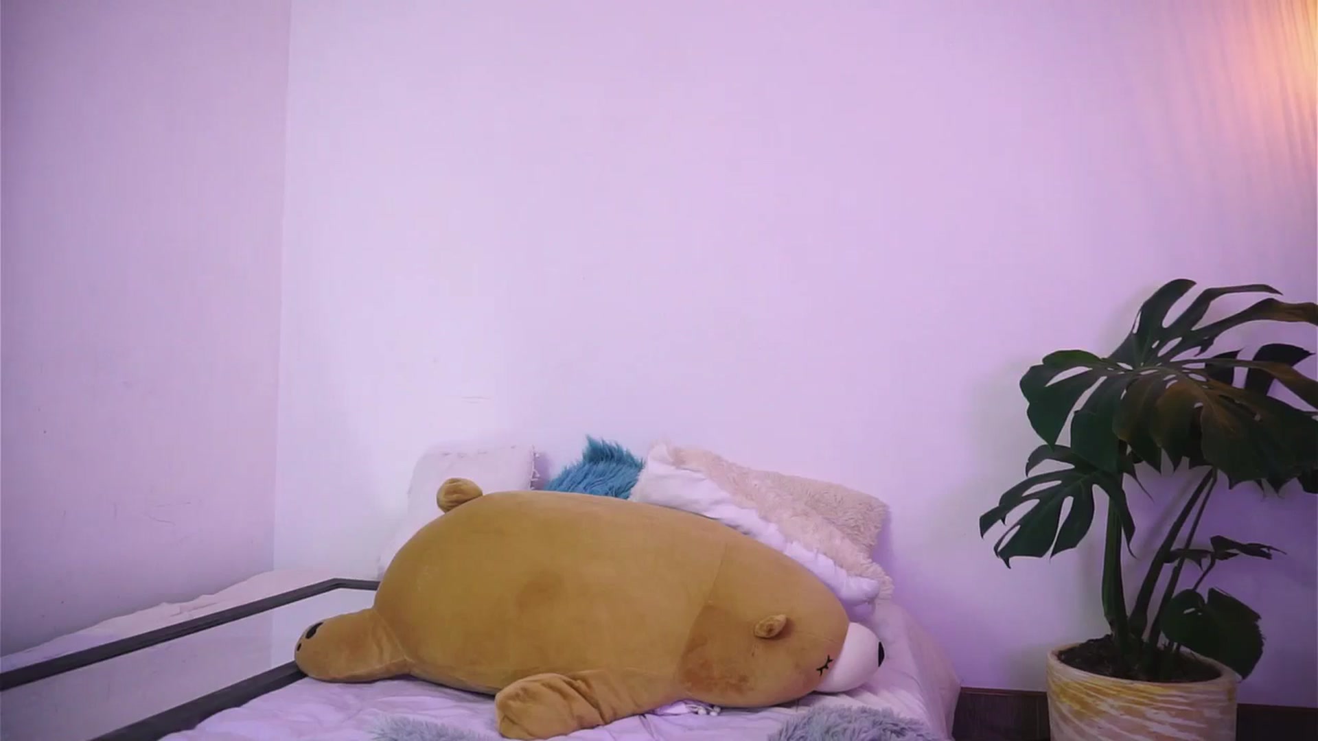 Gallery image thumbnail from AlessaCox's myfreecams stream on, 06/30/2024, 04:34 image 4 of 20