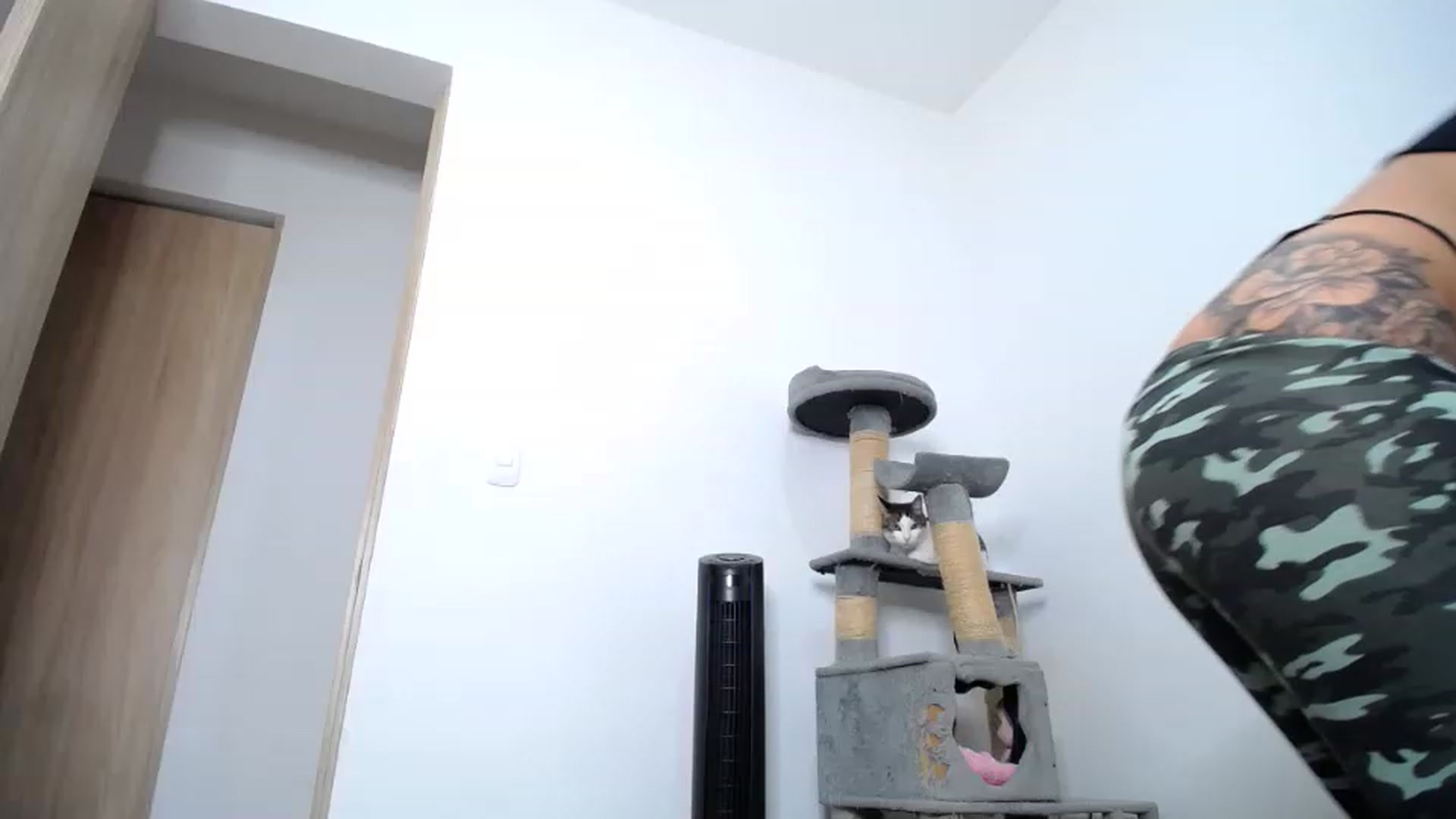 Gallery image thumbnail from AlexLions's myfreecams stream on, 11/27/2022, 03:49 image 3 of 20