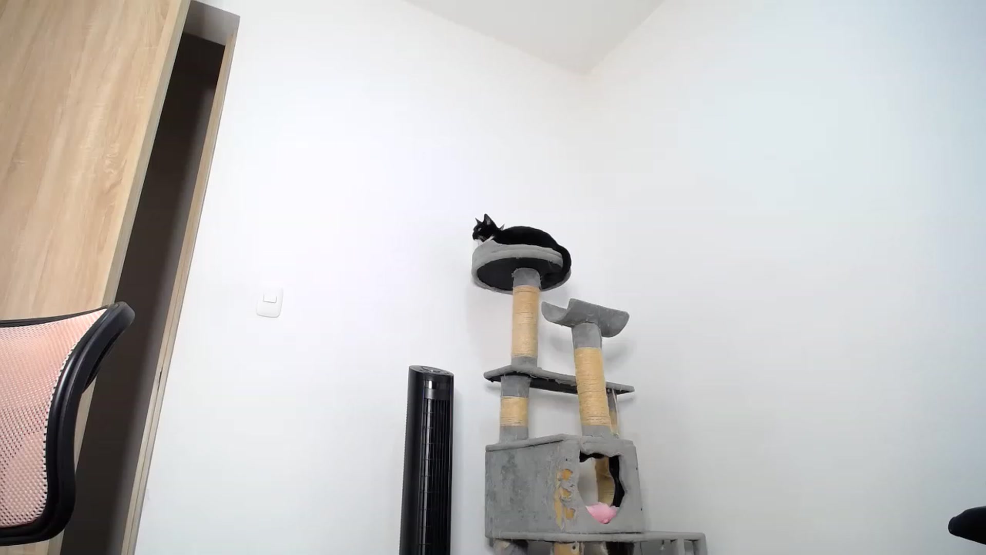 Gallery image thumbnail from AlexLions's myfreecams stream on, 11/29/2022, 24:09 image 10 of 20