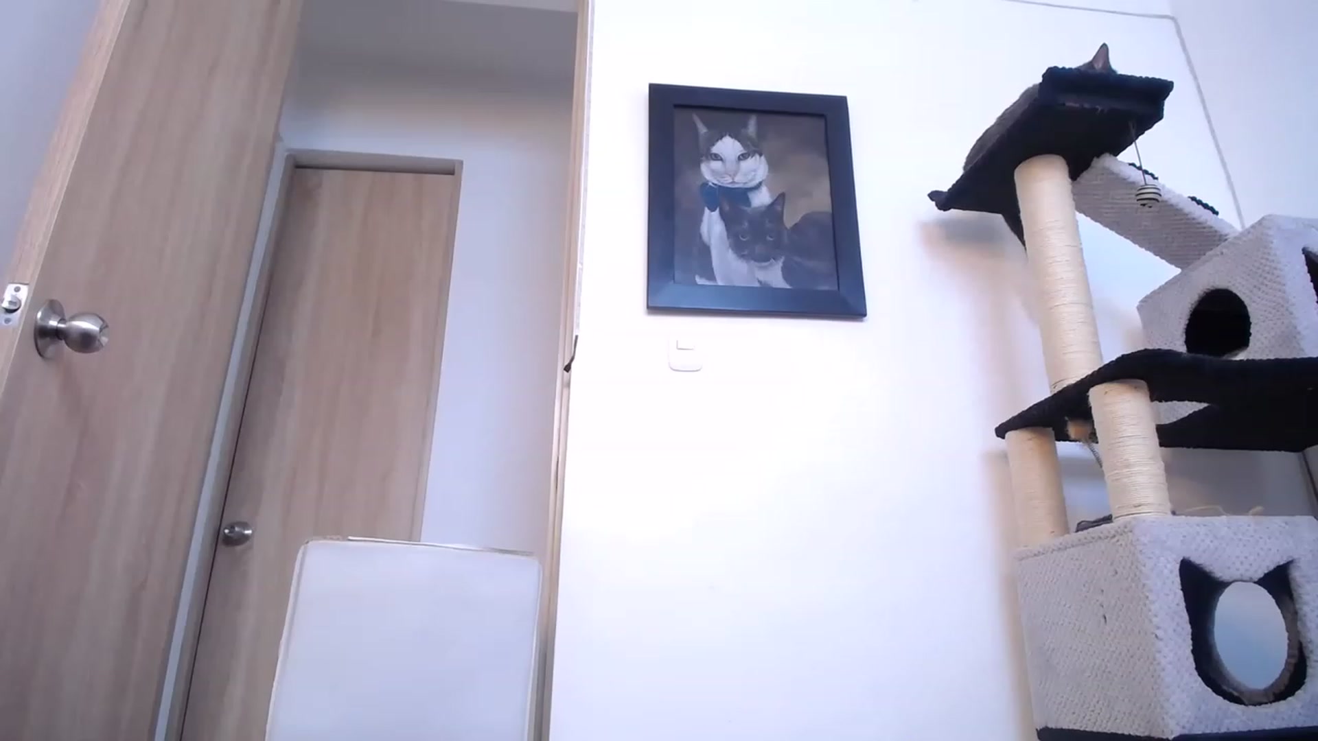 Gallery image thumbnail from AlexLions's myfreecams stream on, 03/12/2023, 18:23 image 4 of 20