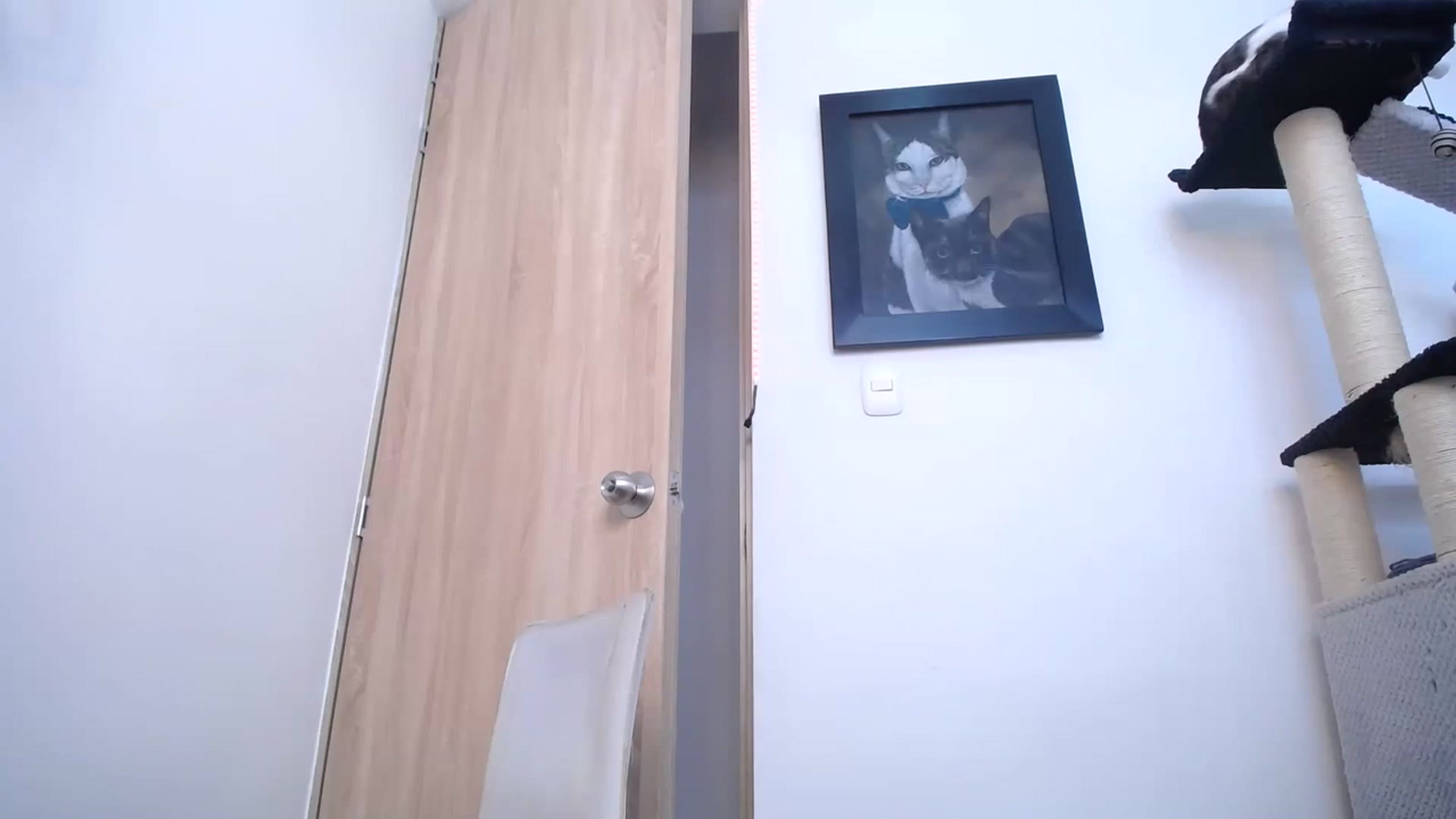 Gallery image thumbnail from AlexLions's myfreecams stream on, 03/17/2023, 18:45 image 13 of 20