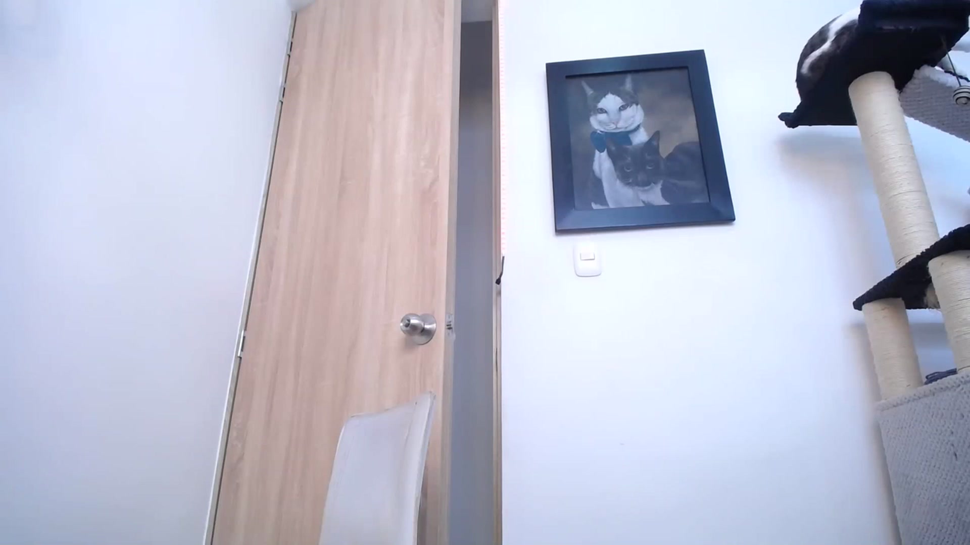 Gallery image thumbnail from AlexLions's myfreecams stream on, 03/17/2023, 18:45 image 14 of 20