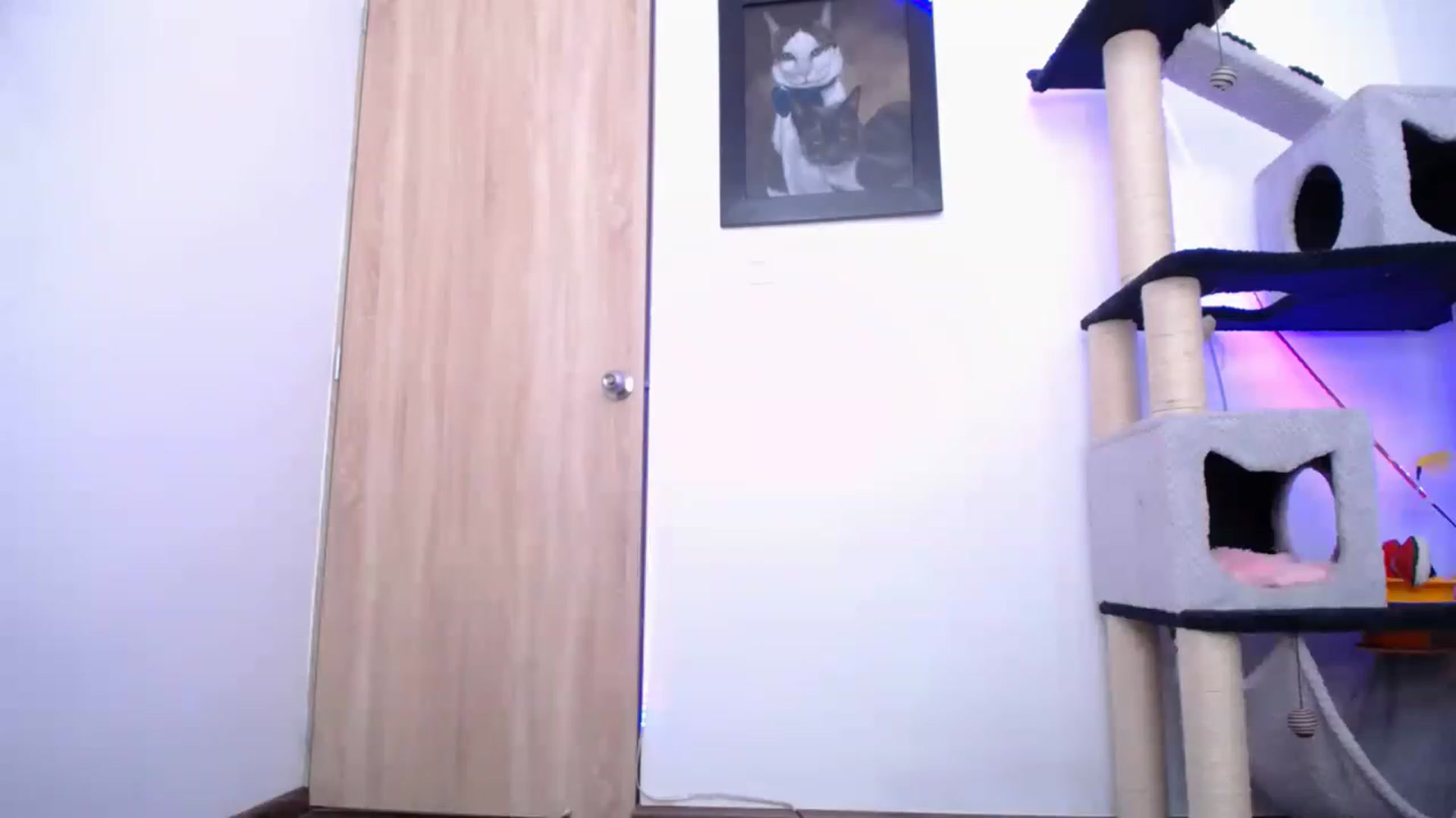 Gallery image thumbnail from AlexLions's myfreecams stream on, 04/17/2023, 18:55 image 15 of 20
