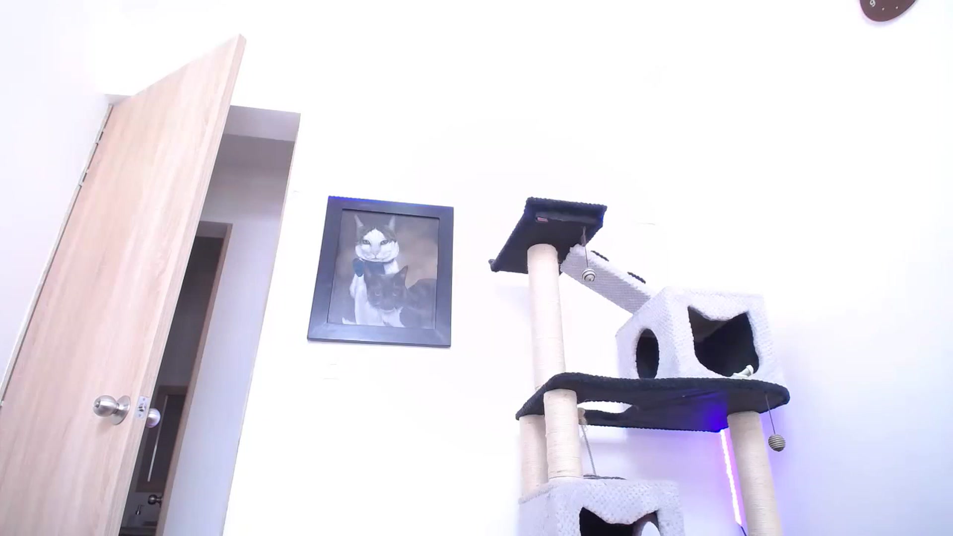 Gallery image thumbnail from AlexLions's myfreecams stream on, 05/13/2023, 19:11 image 12 of 20