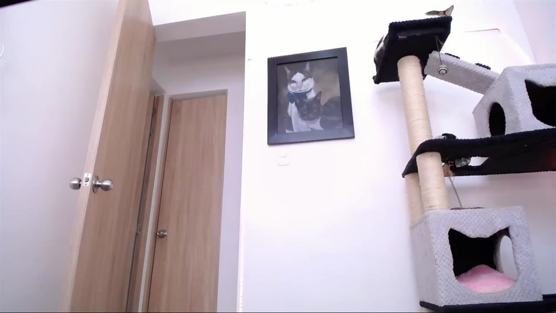 Gallery image thumbnail from AlexLions's myfreecams stream on, 05/21/2023, 19:20 image 4 of 20