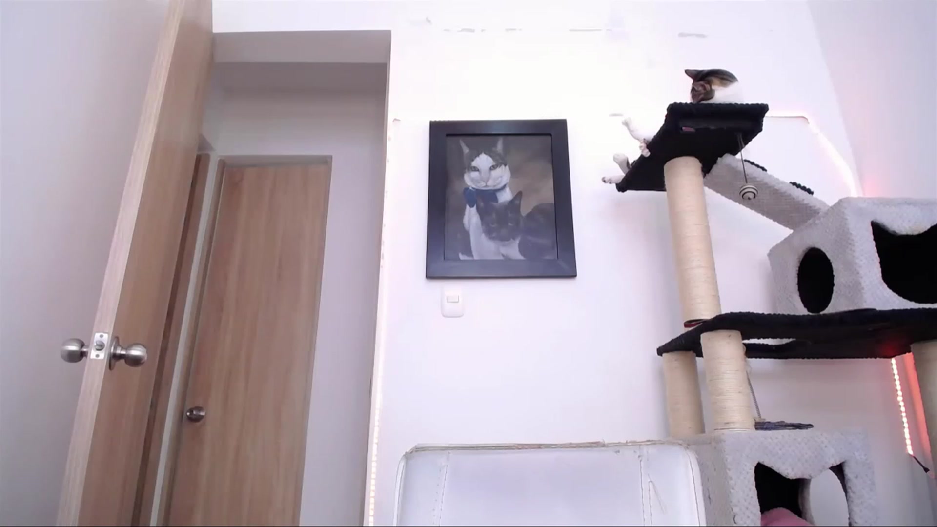 Gallery image thumbnail from AlexLions's myfreecams stream on, 05/21/2023, 19:20 image 15 of 20