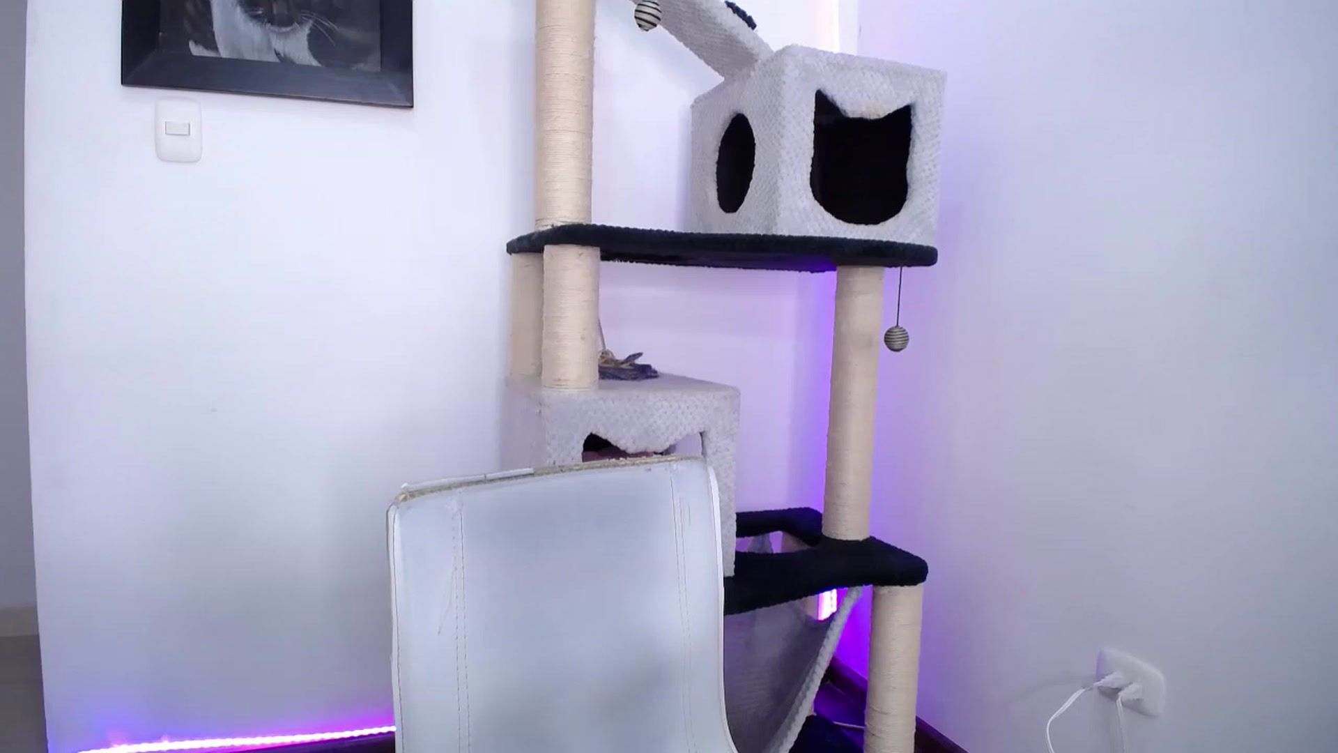 Gallery image thumbnail from AlexLions's myfreecams stream on, 06/12/2023, 23:28 image 14 of 20
