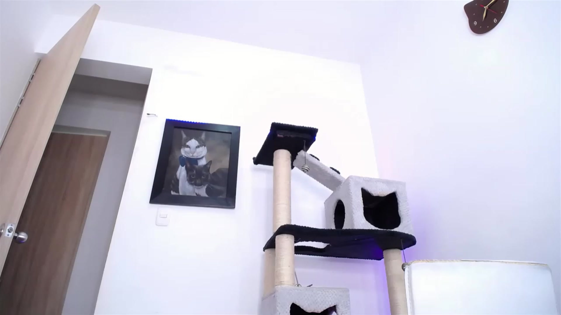 Gallery image thumbnail from AlexLions's myfreecams stream on, 06/13/2023, 24:27 image 14 of 20