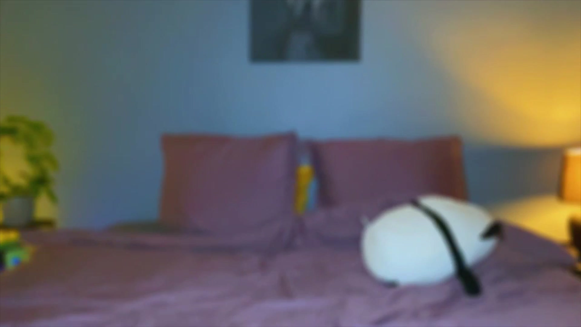 Gallery image thumbnail from AlexaAlexx's myfreecams stream on, 12/07/2023, 16:15 image 11 of 20