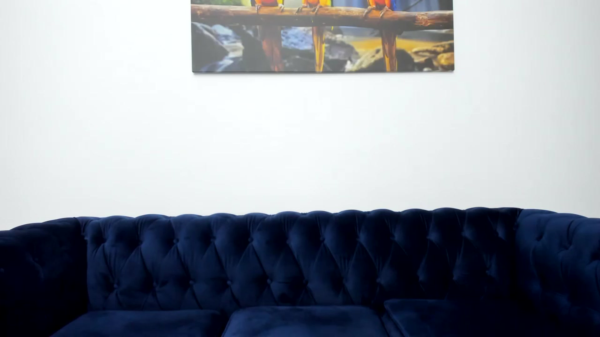 Gallery image thumbnail from AlexaAlly32's myfreecams stream on, 12/19/2022, 03:22 image 18 of 20