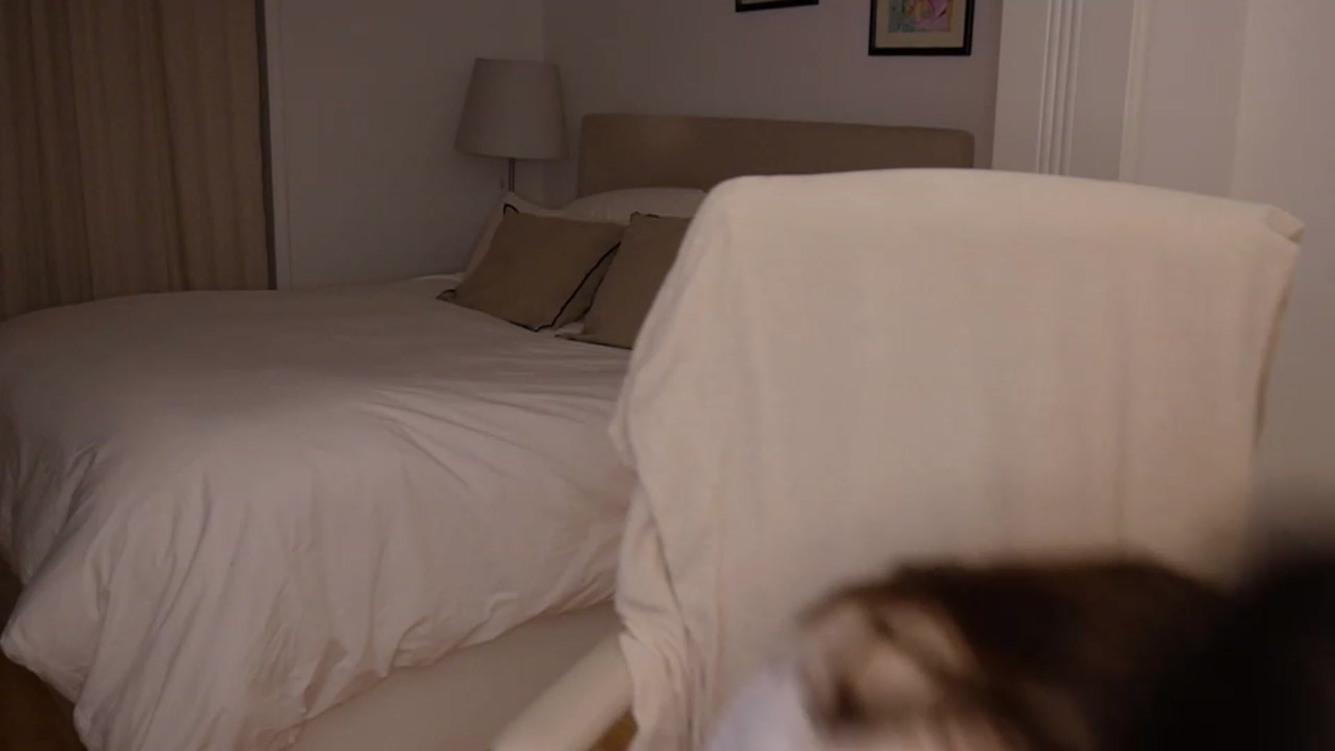 Gallery image thumbnail from AlexaBlancOh's myfreecams stream on, 05/03/2023, 02:51 image 13 of 20
