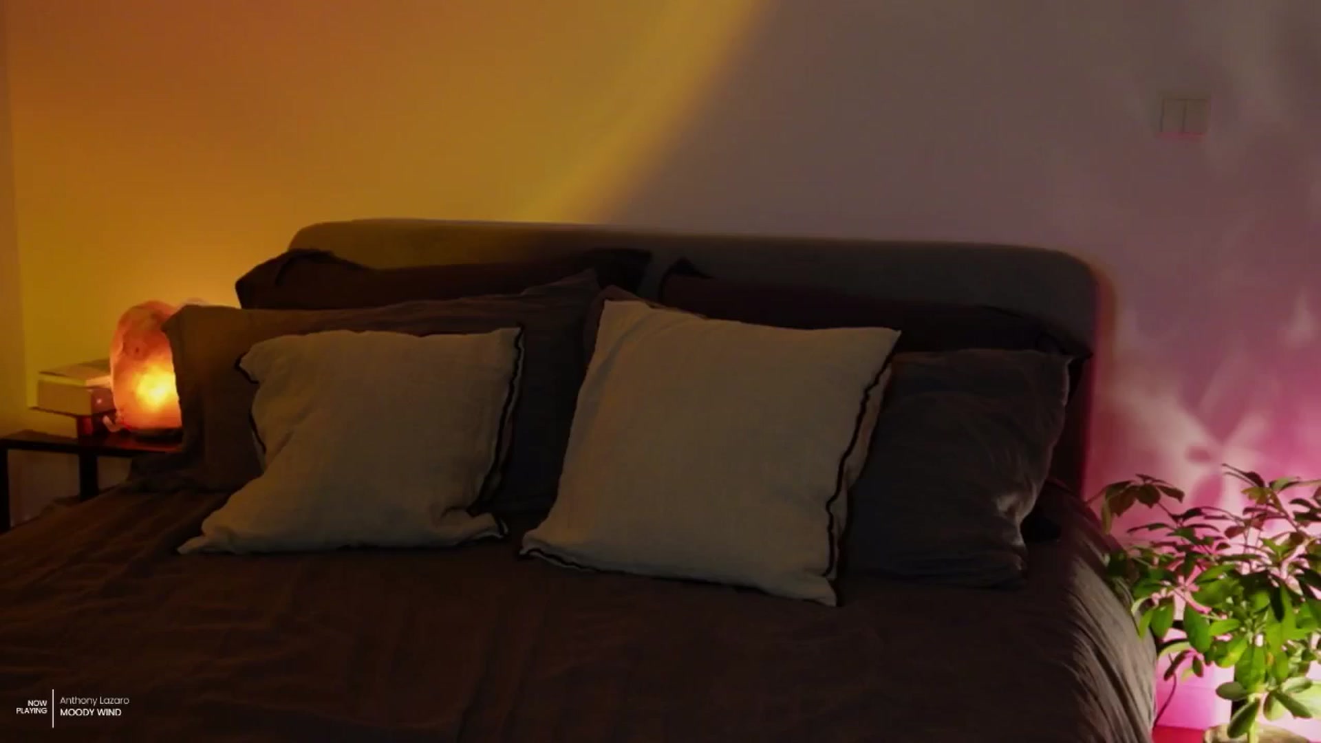 Gallery image thumbnail from AlexaBlancOh's myfreecams stream on, 07/11/2024, 05:09 image 9 of 20