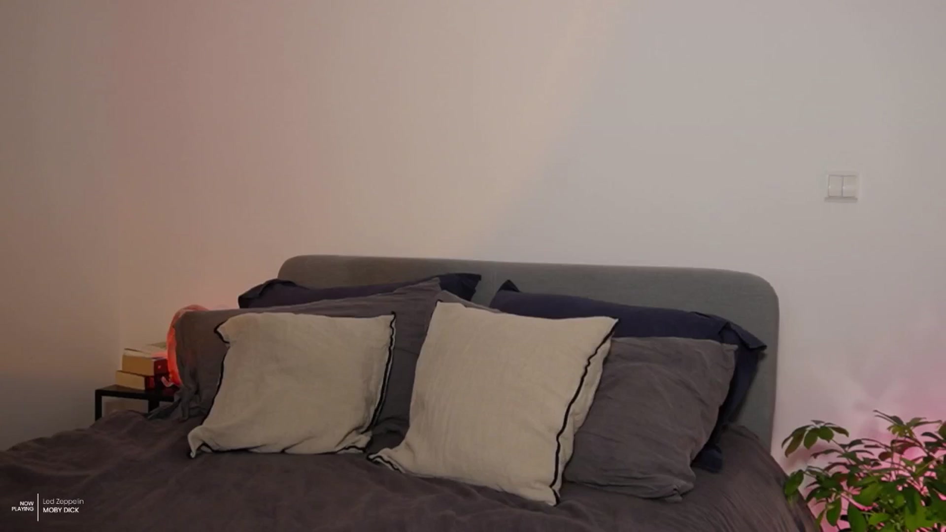 Gallery image thumbnail from AlexaBlancOh's myfreecams stream on, 07/11/2024, 05:09 image 20 of 20