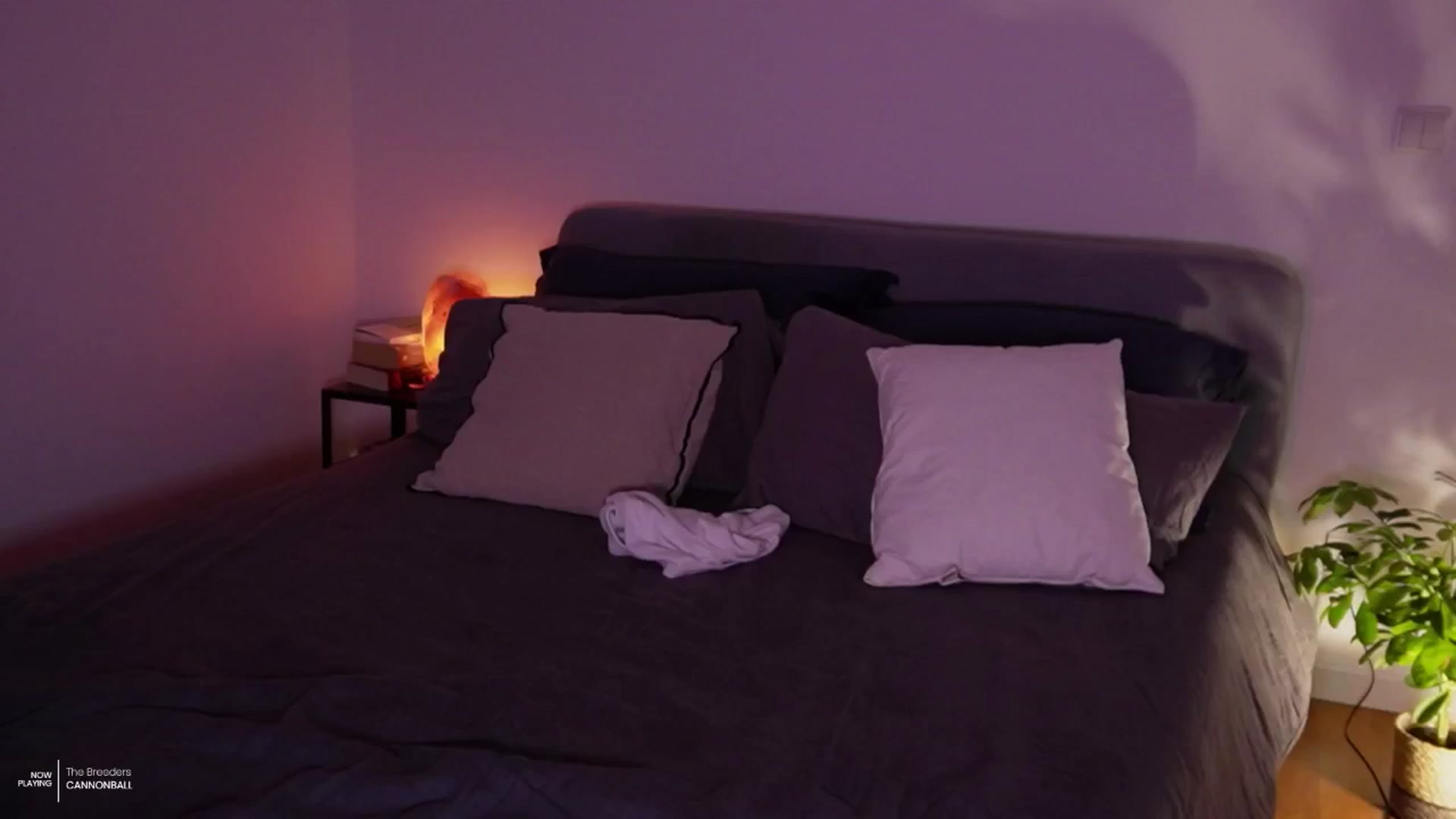Gallery image thumbnail from AlexaBlancOh's myfreecams stream on, 07/16/2024, 07:48 image 10 of 20
