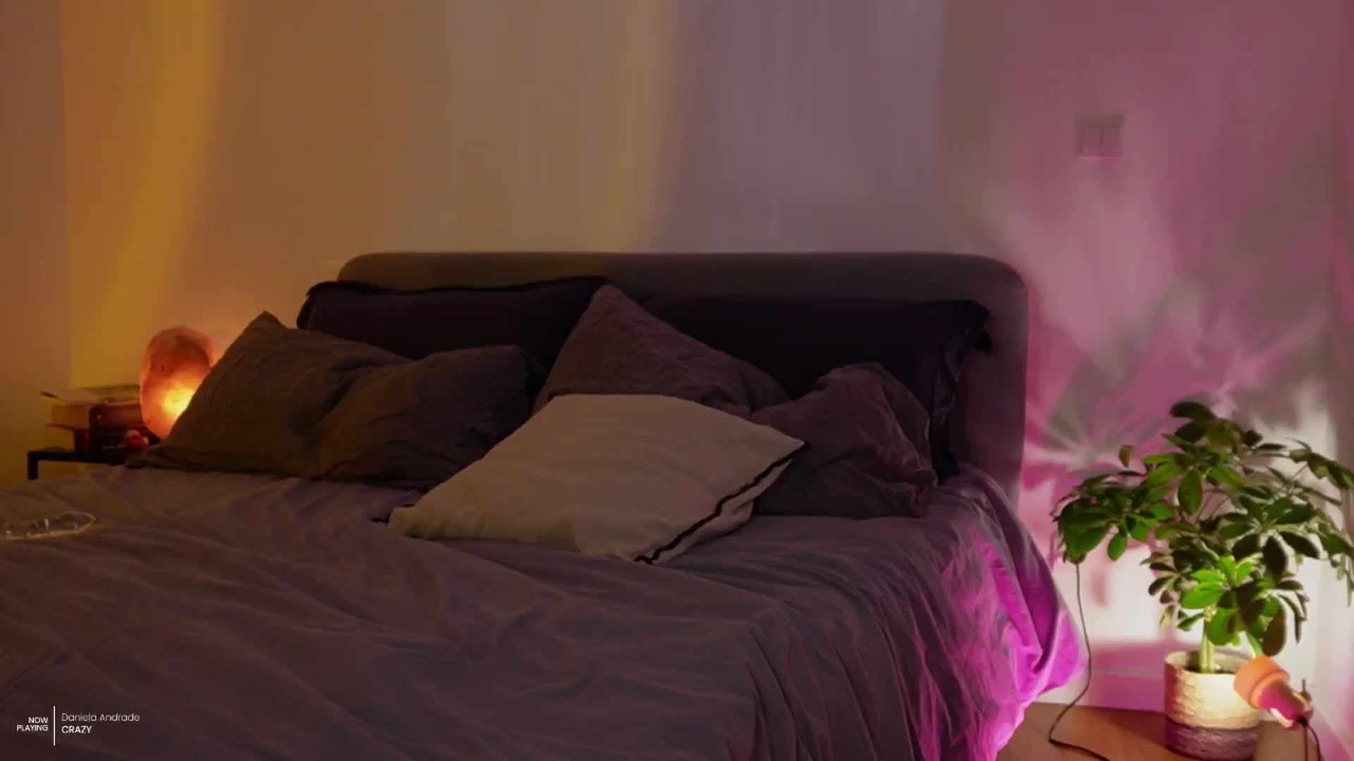 Gallery image thumbnail from AlexaBlancOh's myfreecams stream on, 07/19/2024, 08:25 image 4 of 20