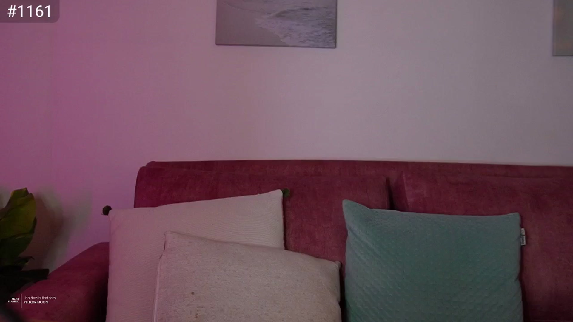 Gallery image thumbnail from AlexaBlancOh's myfreecams stream on, 03/09/2025, 05:45 image 3 of 20