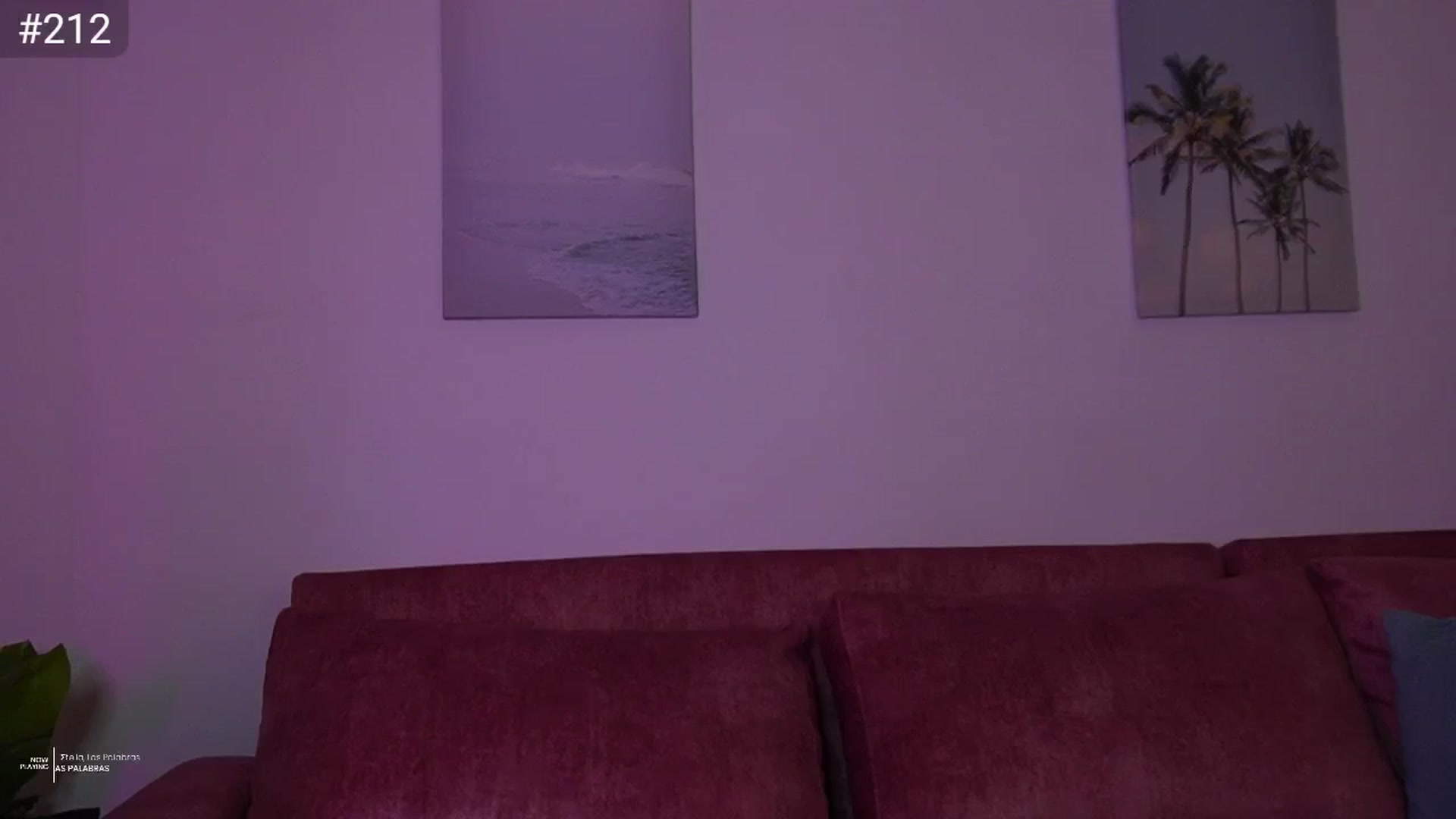 Gallery image thumbnail from AlexaBlancOh's myfreecams stream on, 03/16/2025, 05:57 image 13 of 20