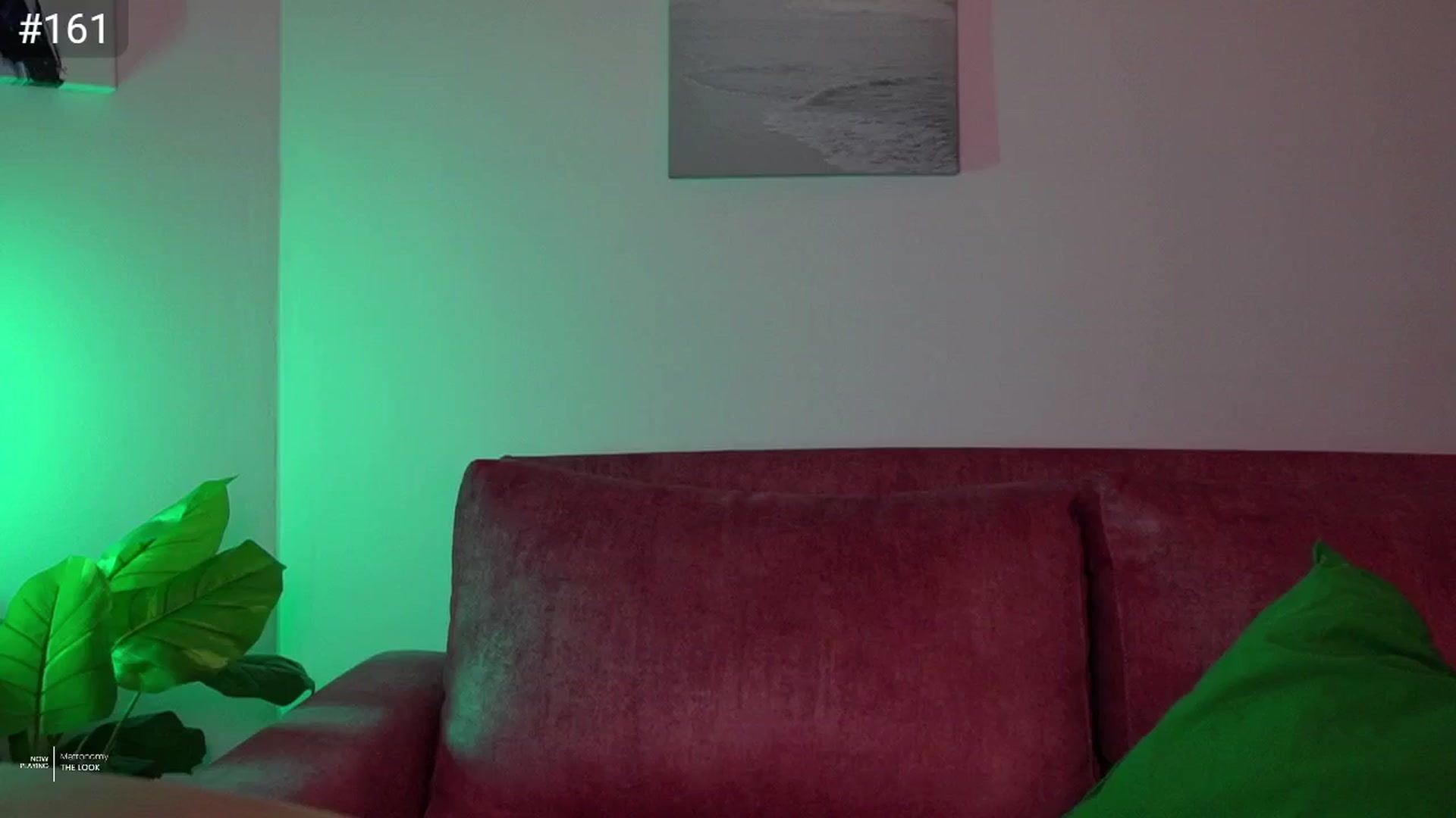 Gallery image thumbnail from AlexaBlancOh's myfreecams stream on, 03/18/2025, 07:31 image 5 of 20