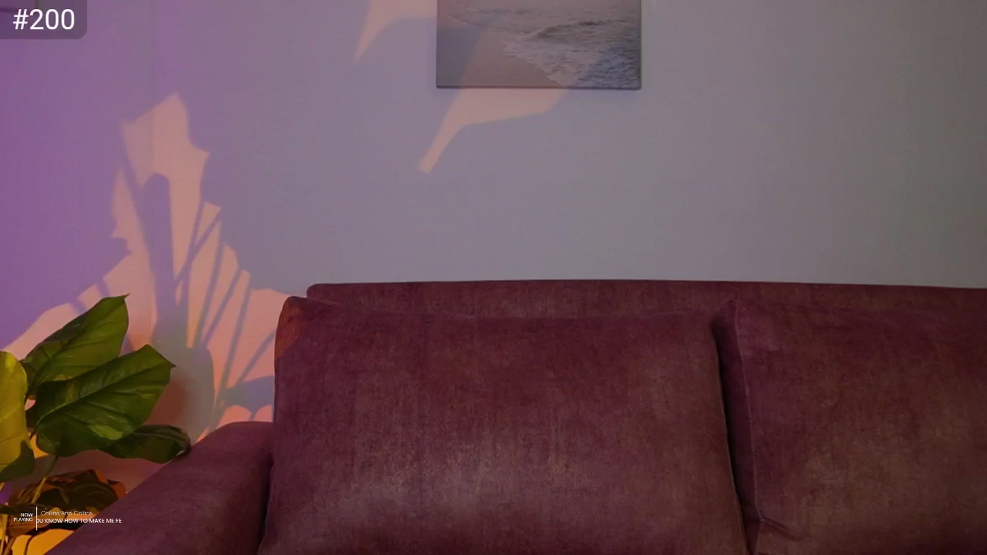 Gallery image thumbnail from AlexaBlancOh's myfreecams stream on, 03/22/2025, 08:11 image 10 of 20