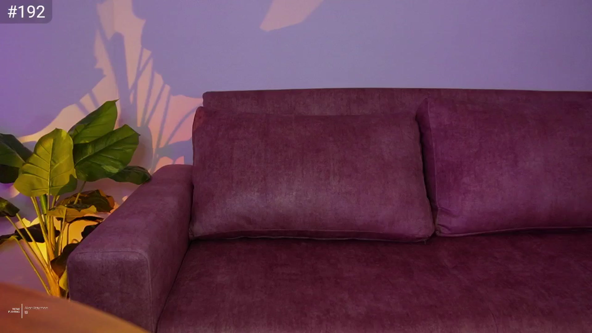 Gallery image thumbnail from AlexaBlancOh's myfreecams stream on, 03/22/2025, 08:11 image 15 of 20